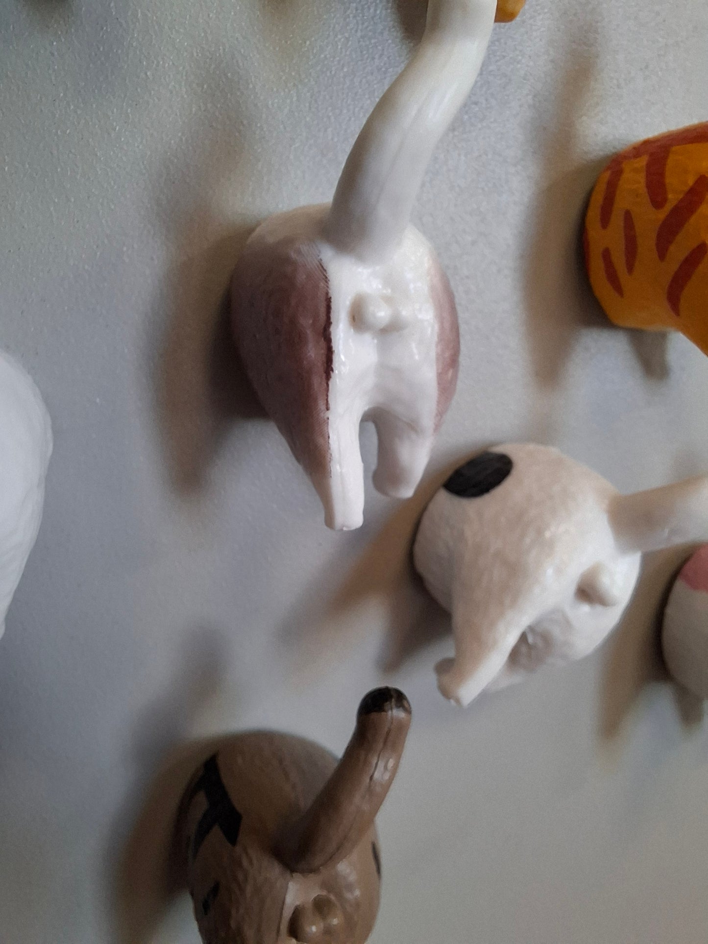 Cat Arse Magnets