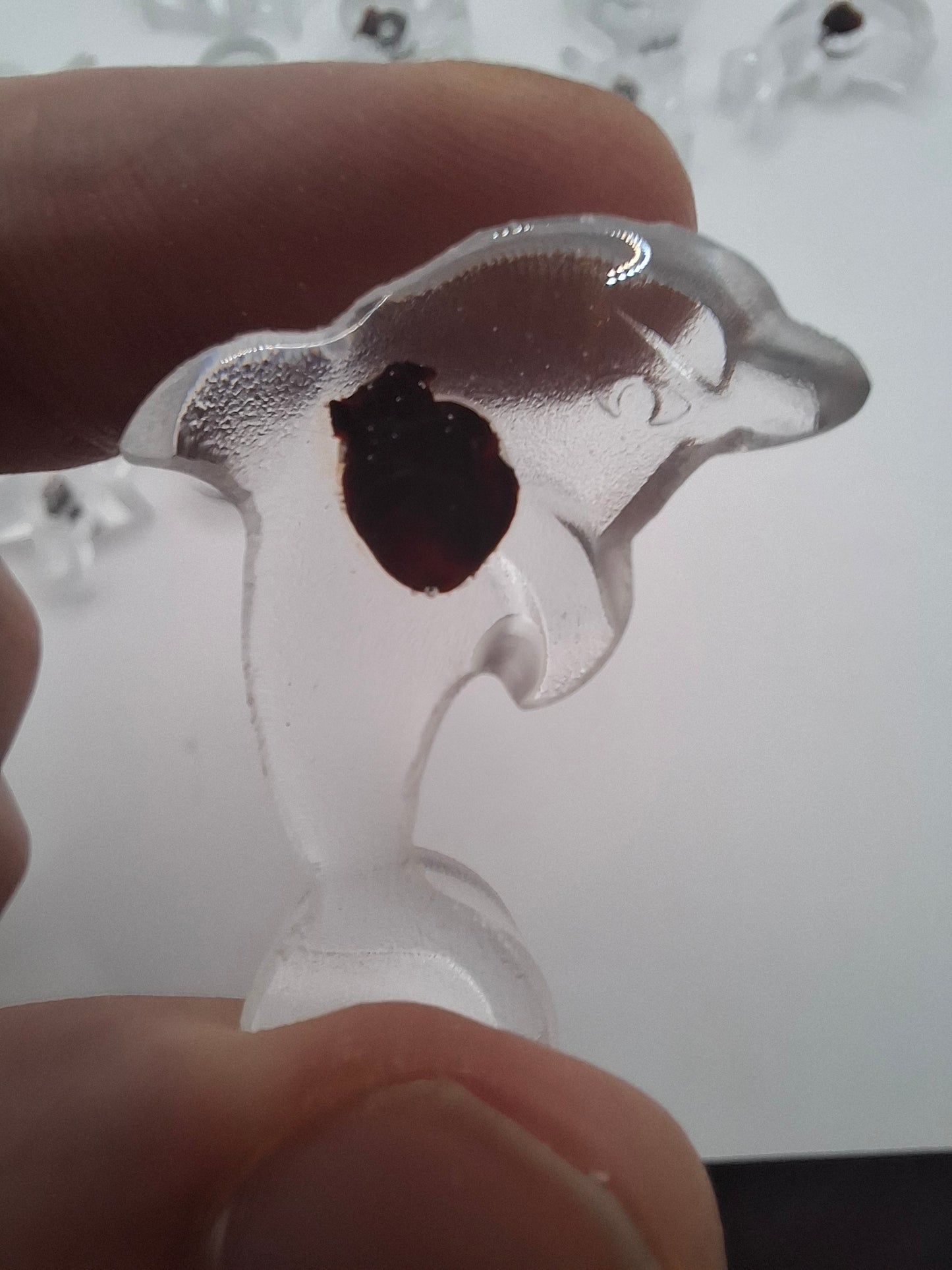 Mouse Heart Fish
