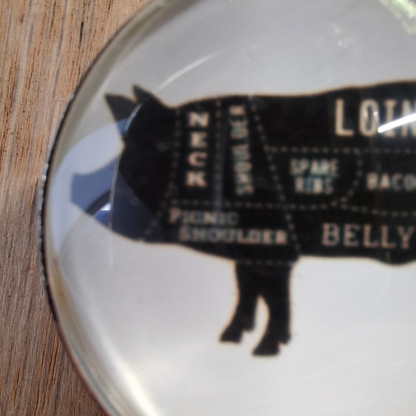 Porky Drawer Handle - by CGB Giftware