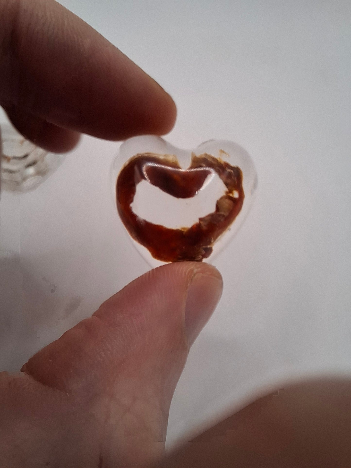 Intestinal Love Heart