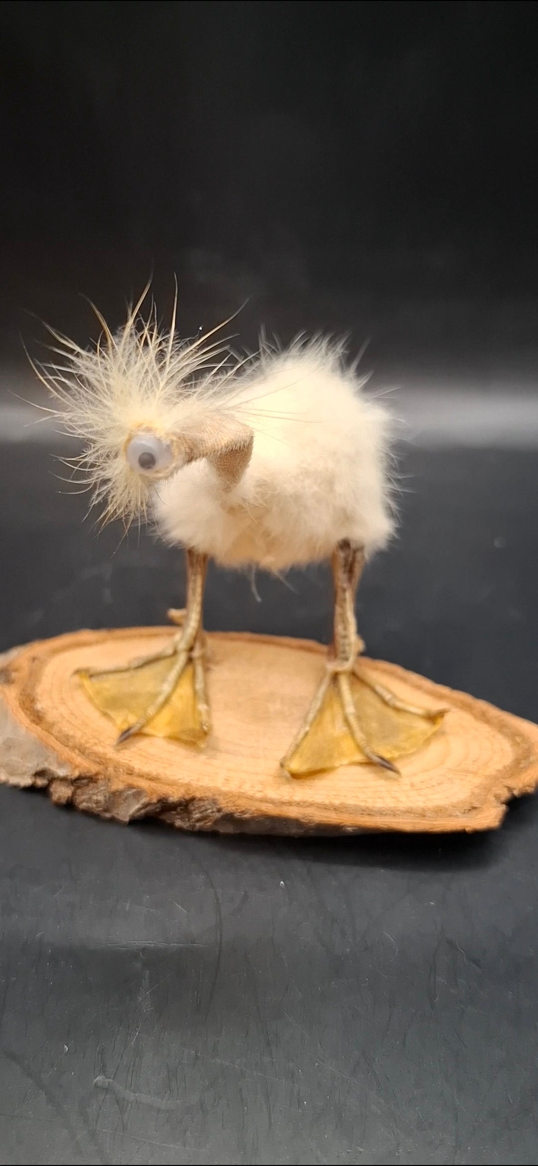 The Stork