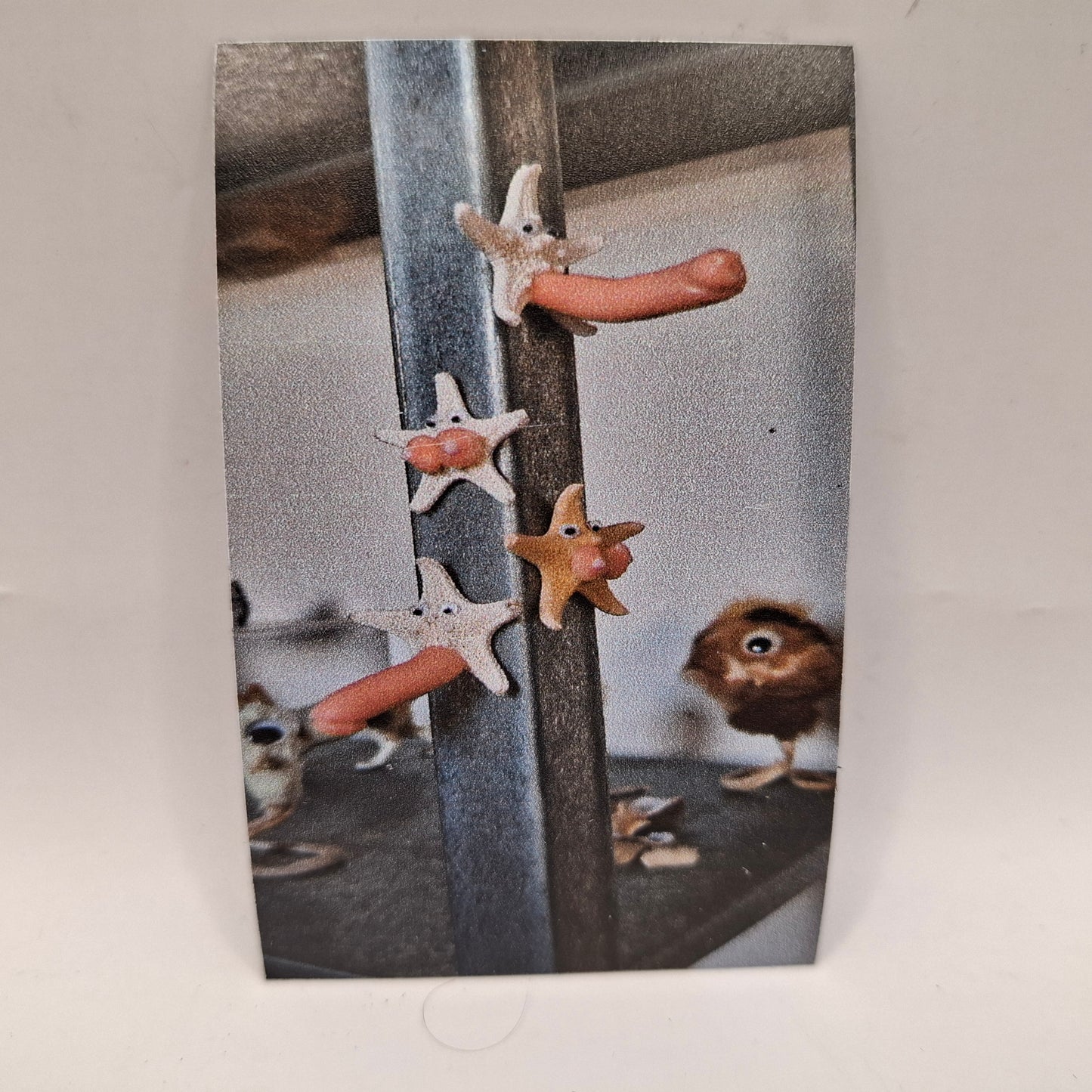 Porn Stars Group Shot Fridge Magnet
