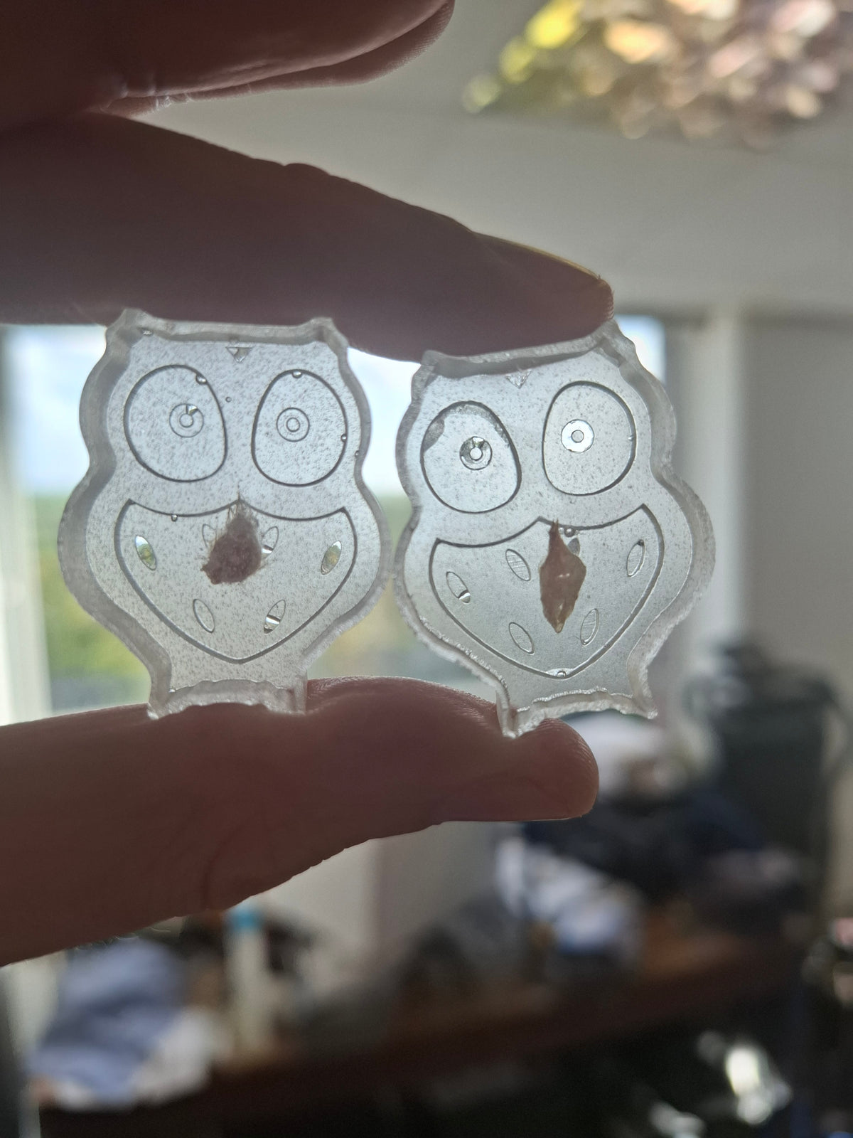 Owl Arse
