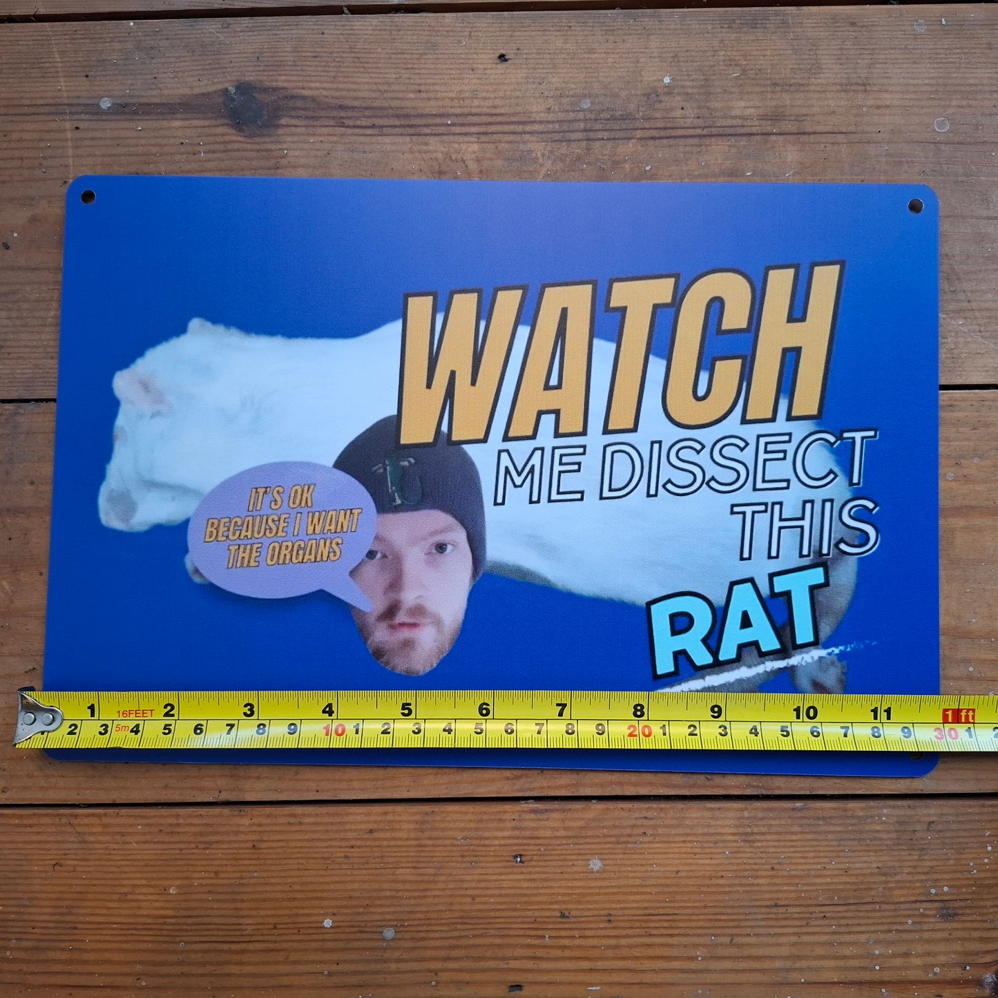 Watch Me Dissect This Rat Wall Sign