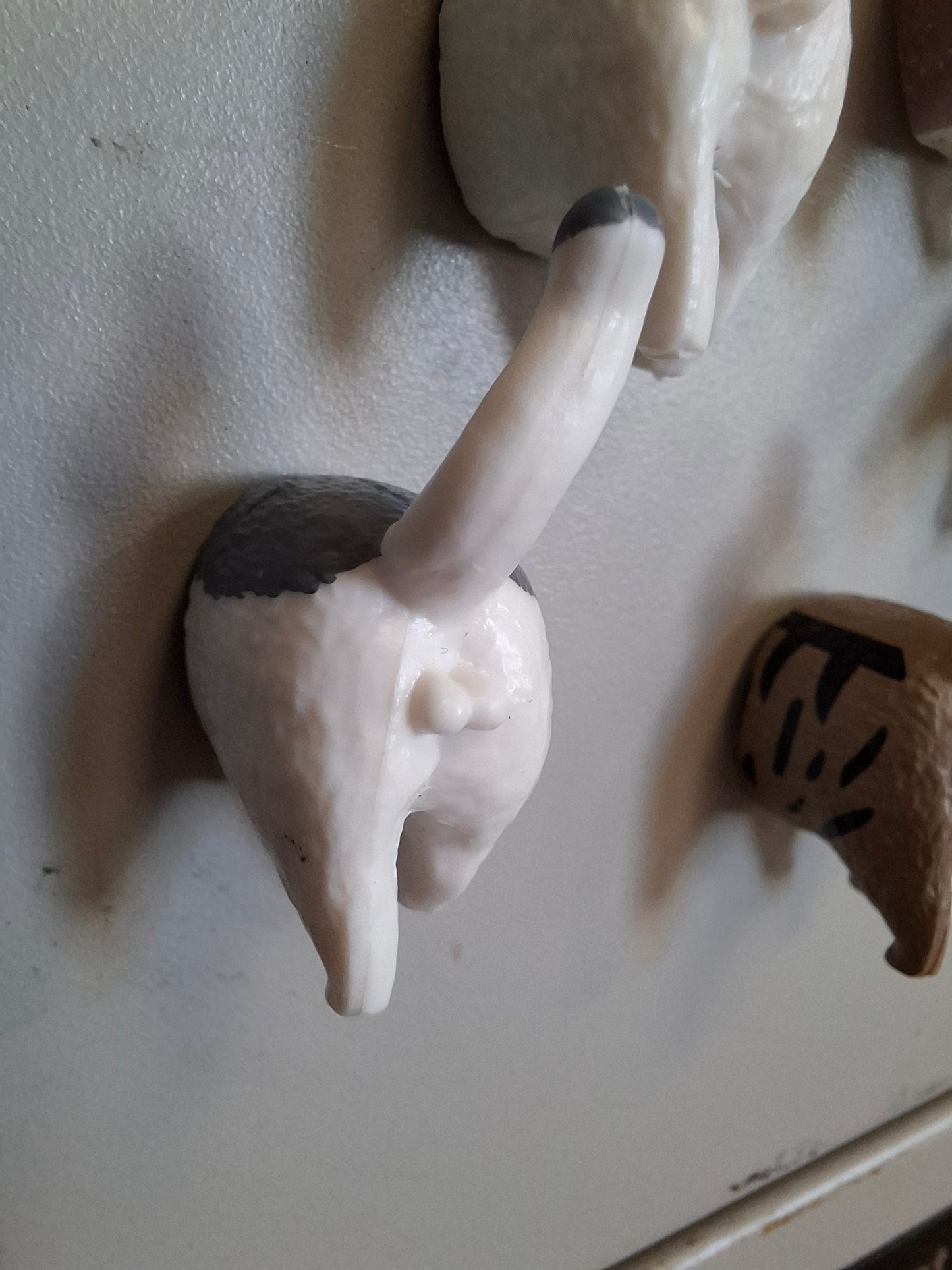 Cat Arse Magnets