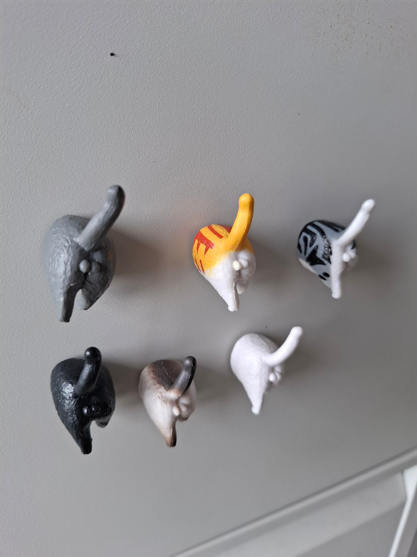Cat Arse Magnets
