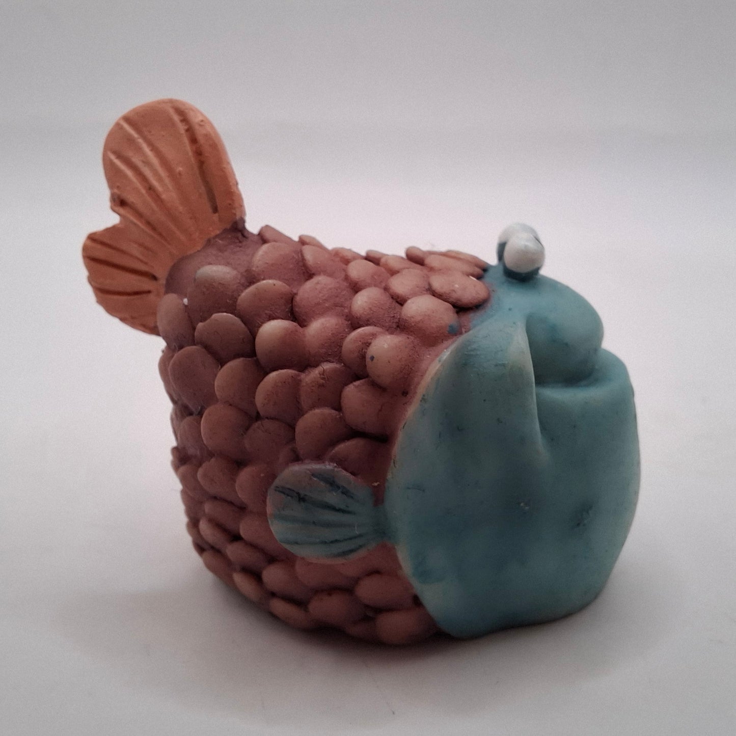 Boggle Eyed Fish