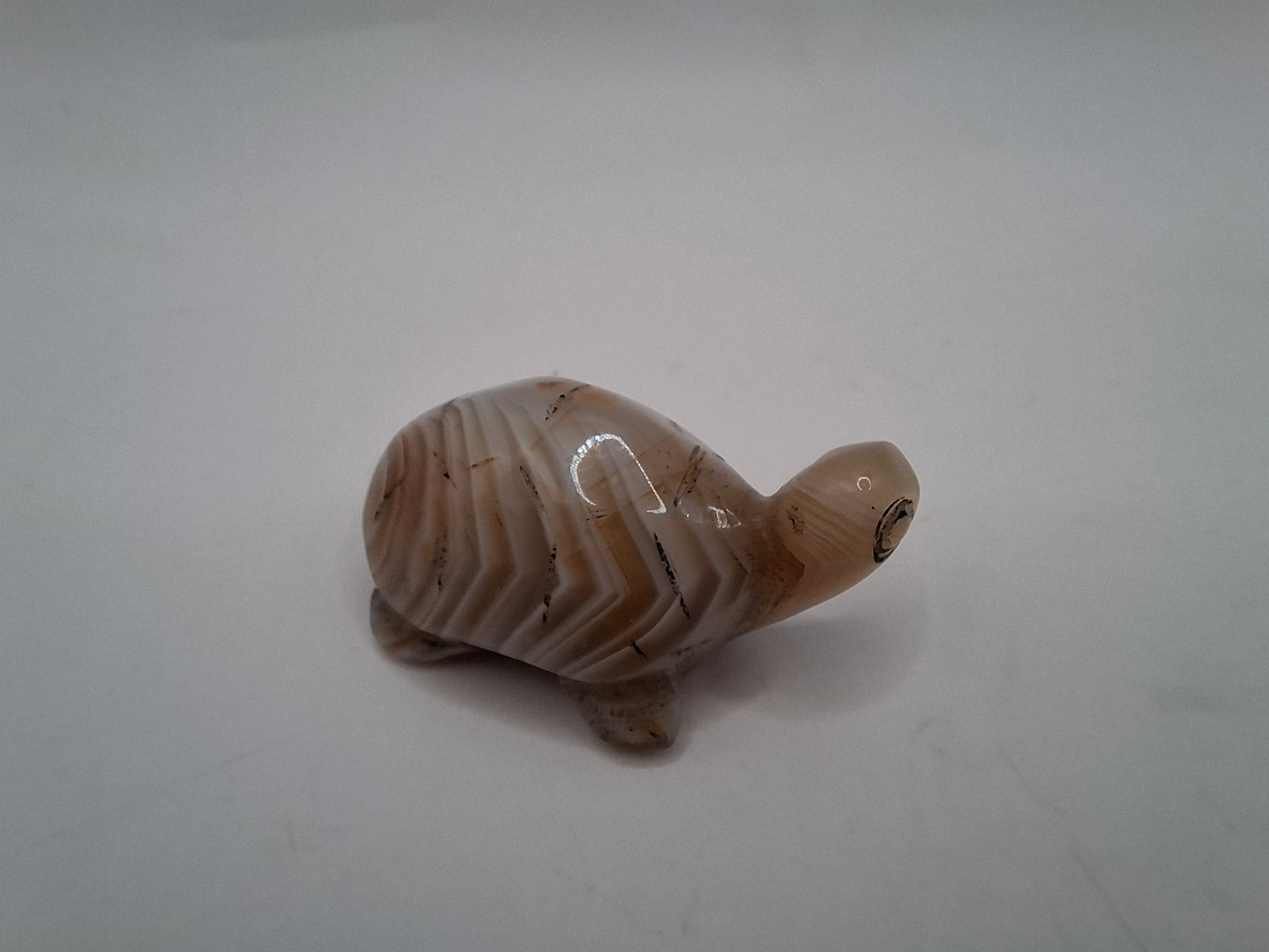Small Turtle Carving