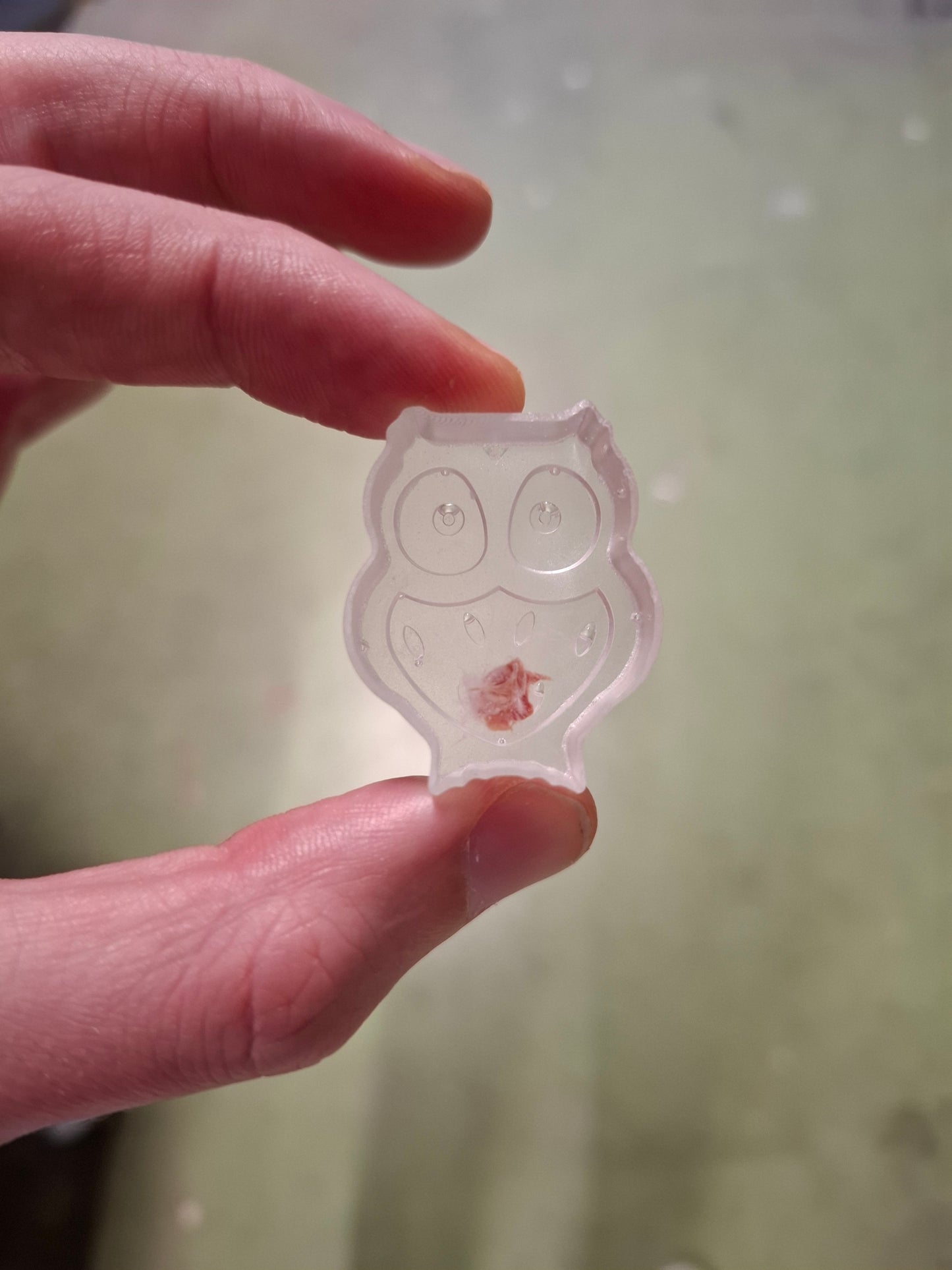 Owl Arse