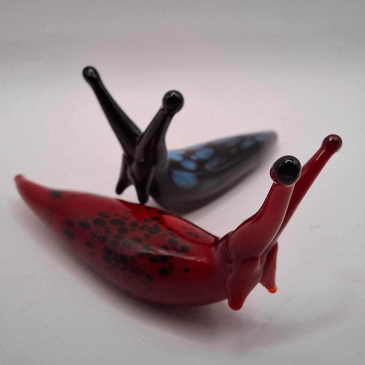 Slugs