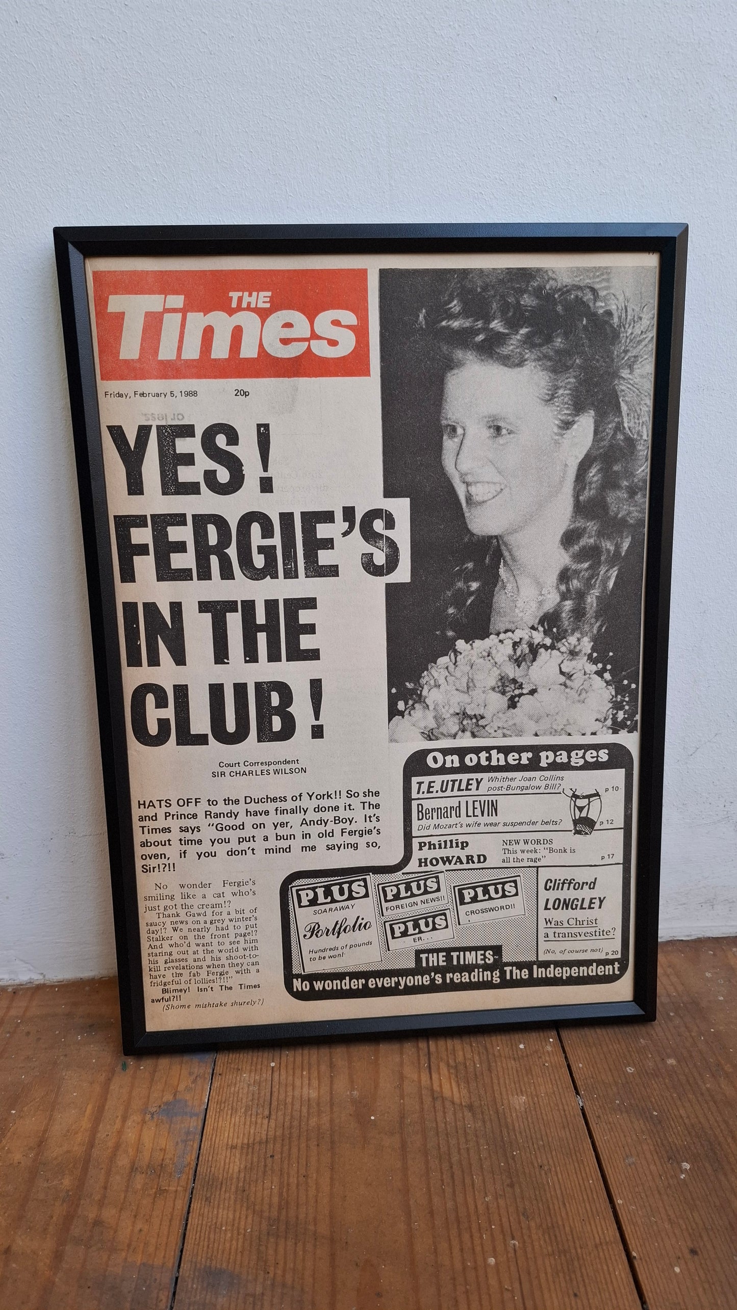 Framed Private Eye Pages