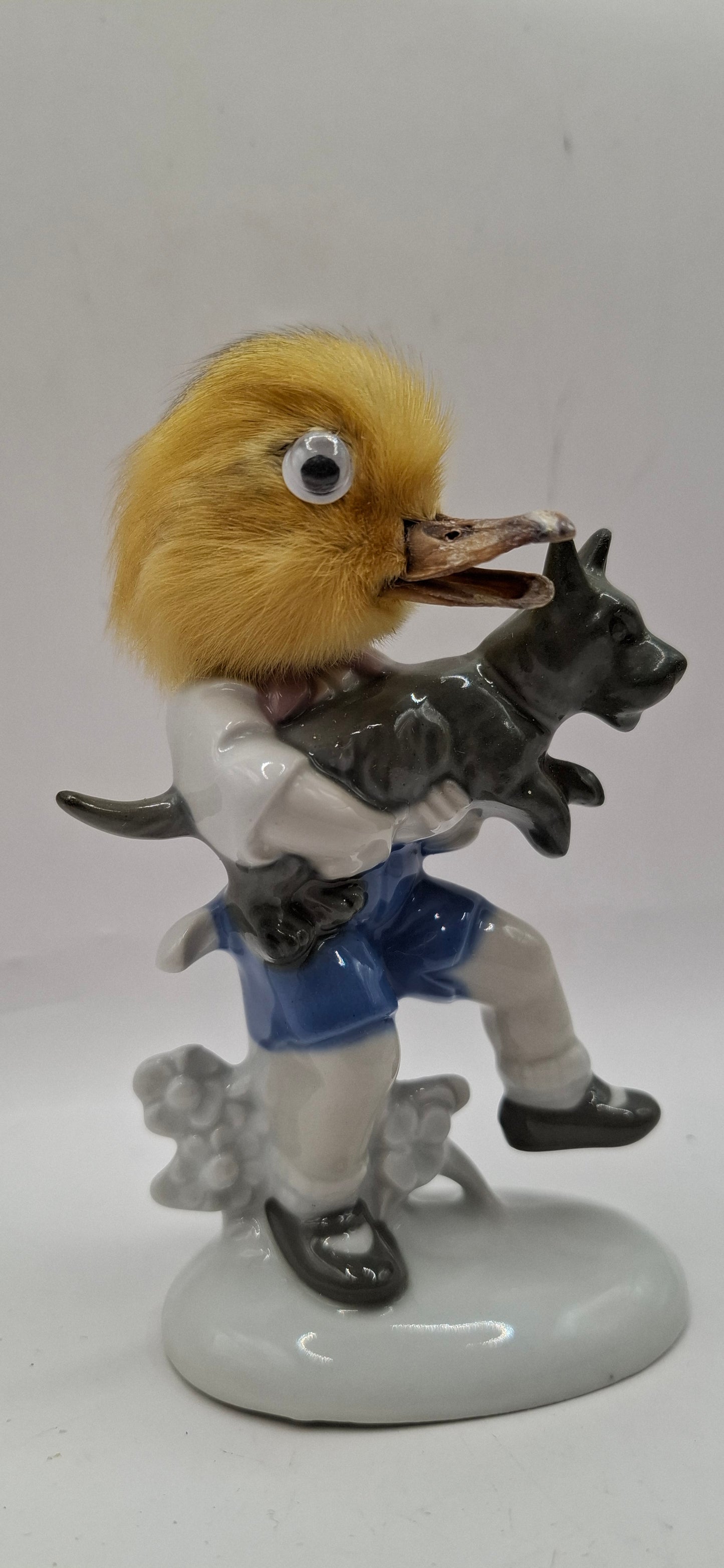 Duck 'n' The Dog