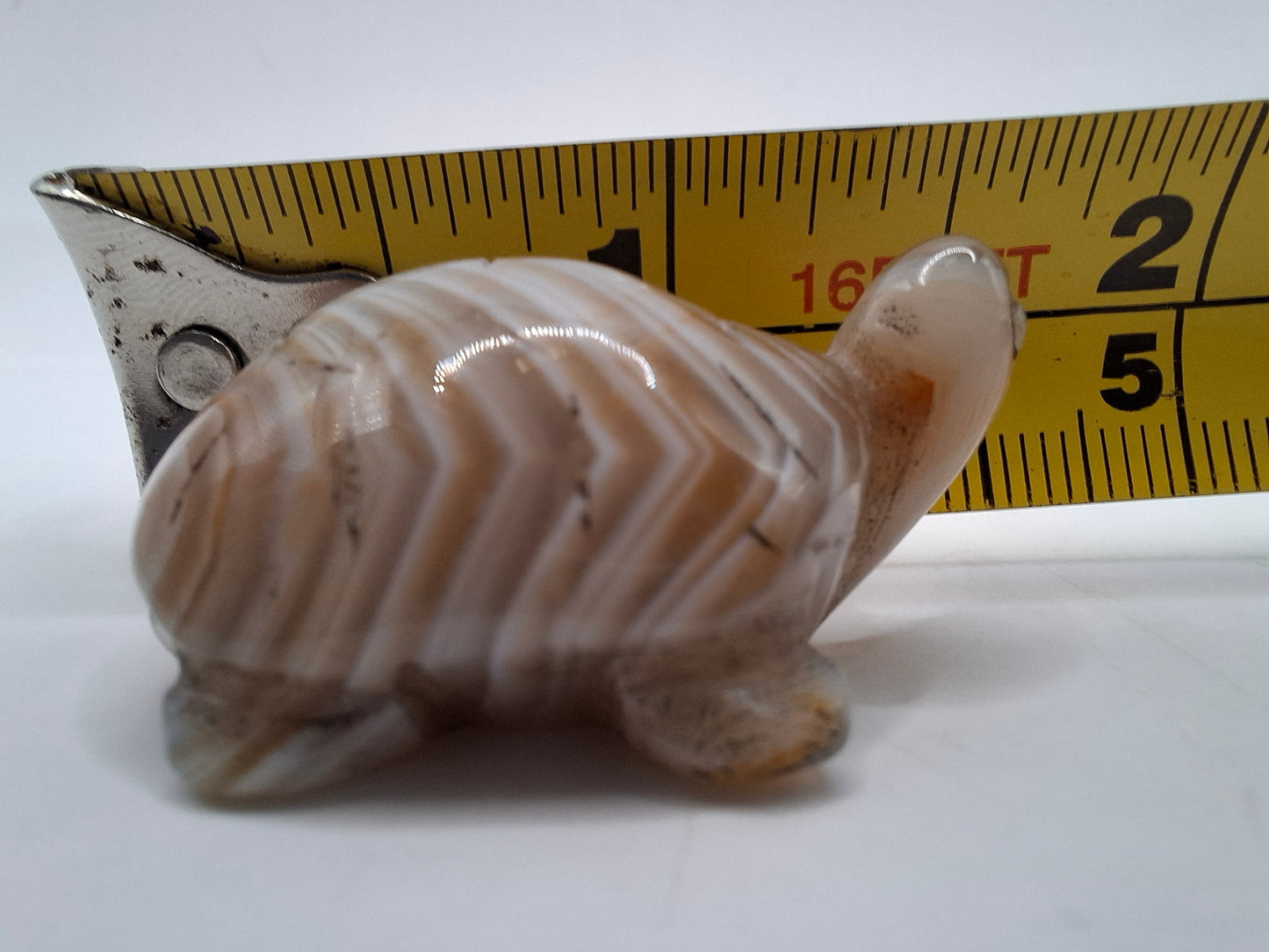 Small Turtle Carving