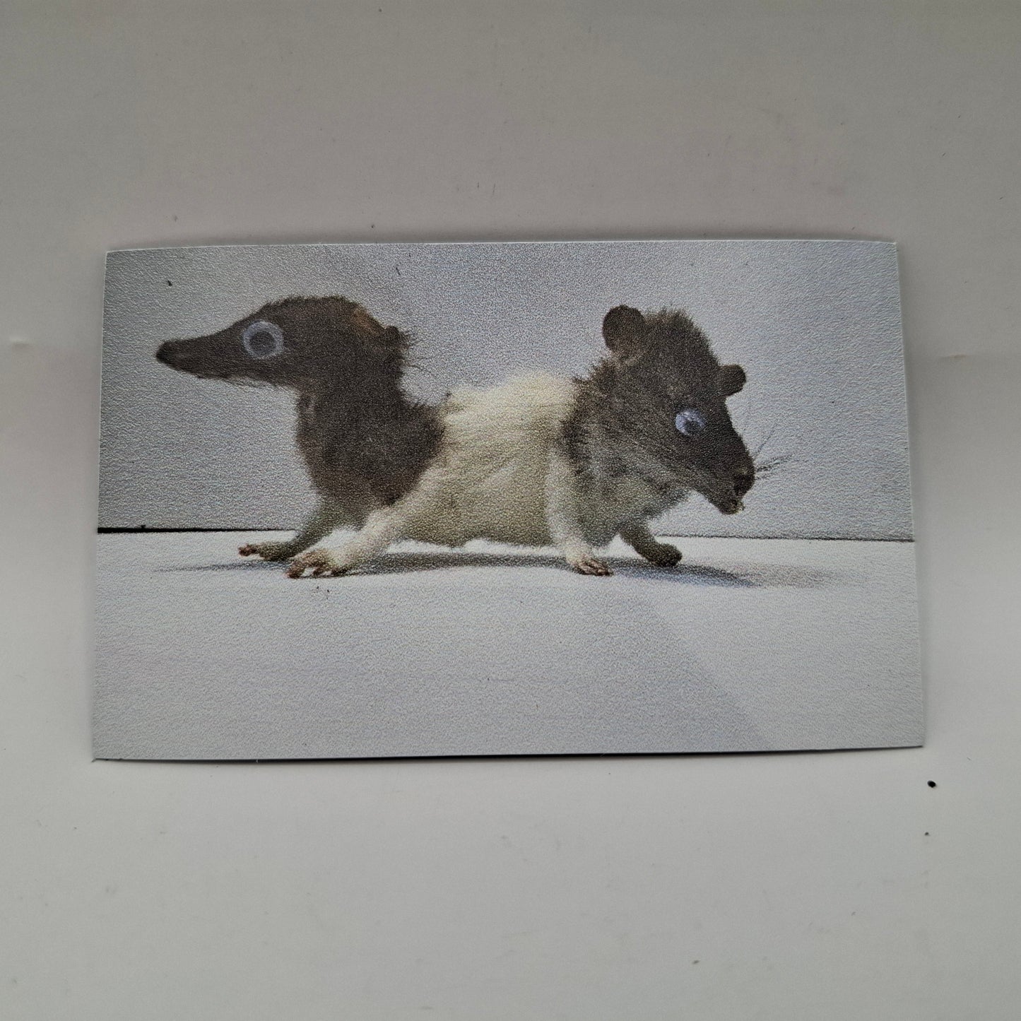 Double Ended Rat Fridge Magnet