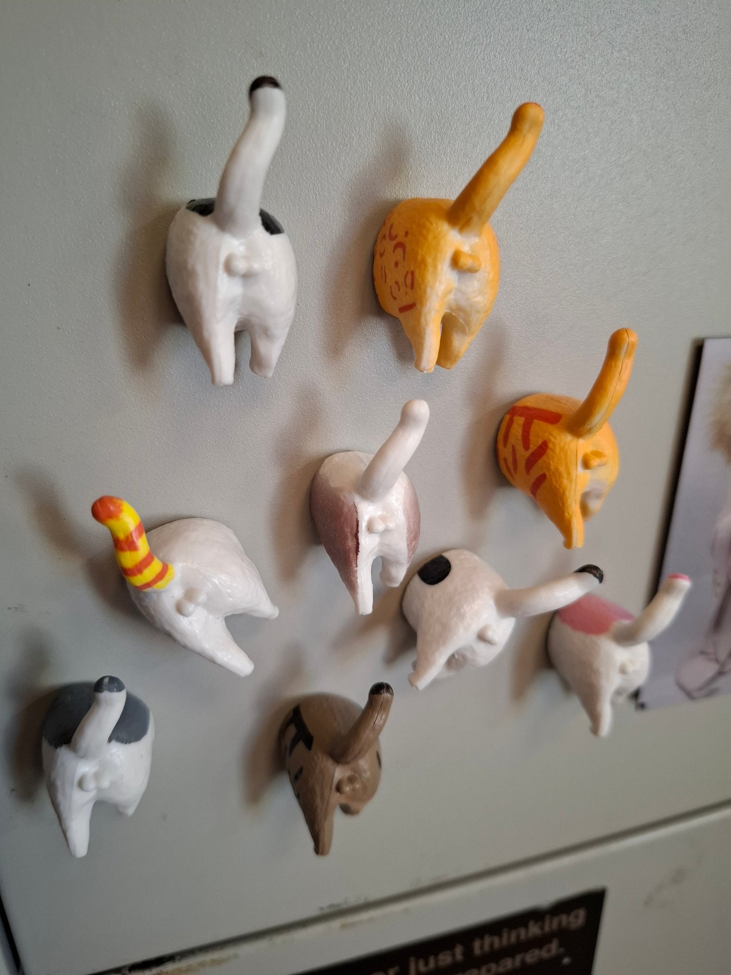 Cat Arse Magnets