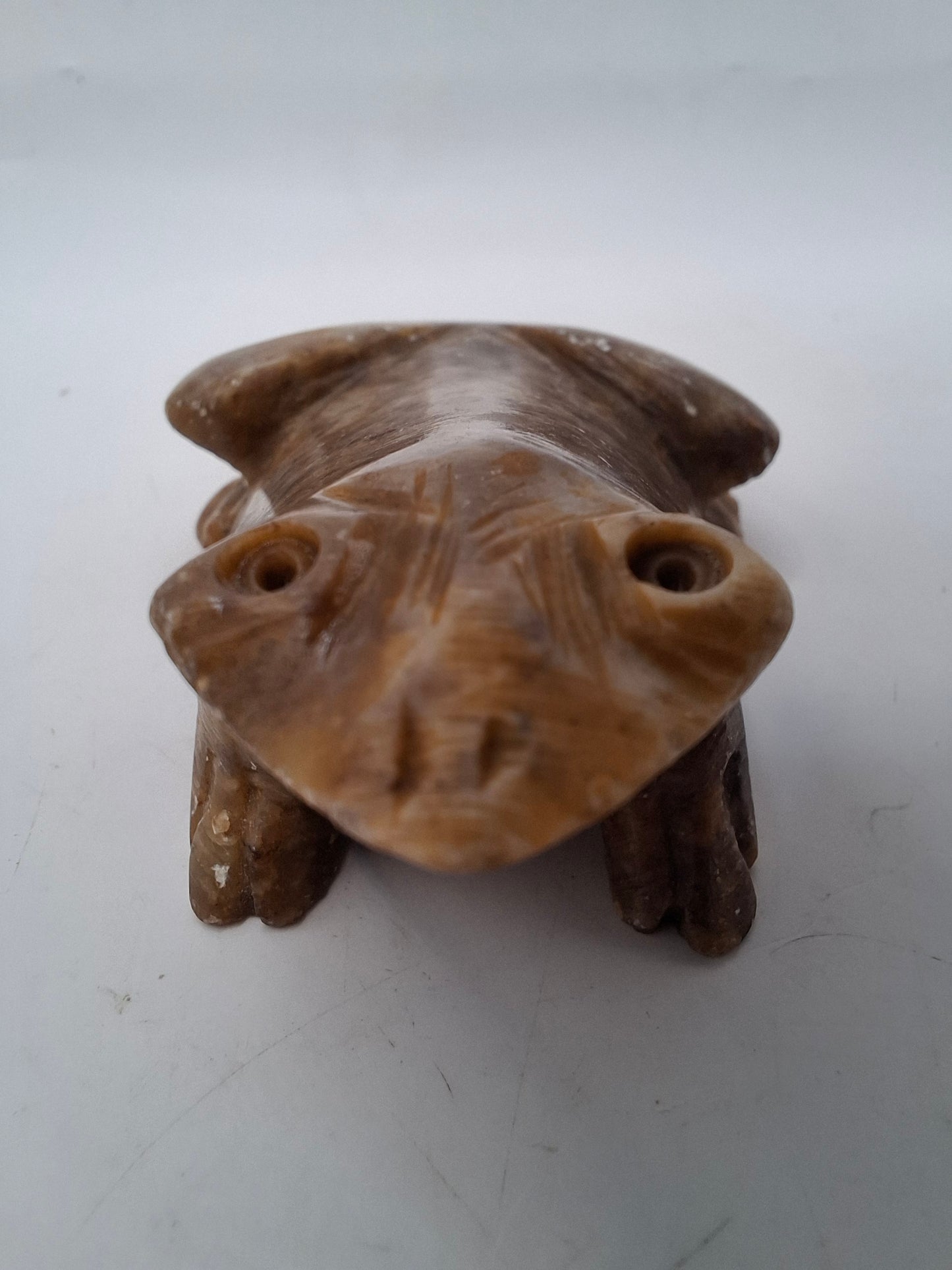 Weird Frogs