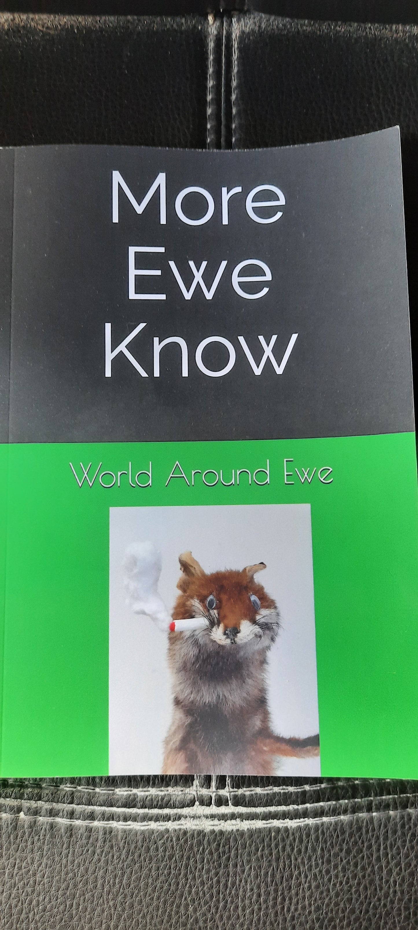 More Ewe Know - physical copy (paperback)