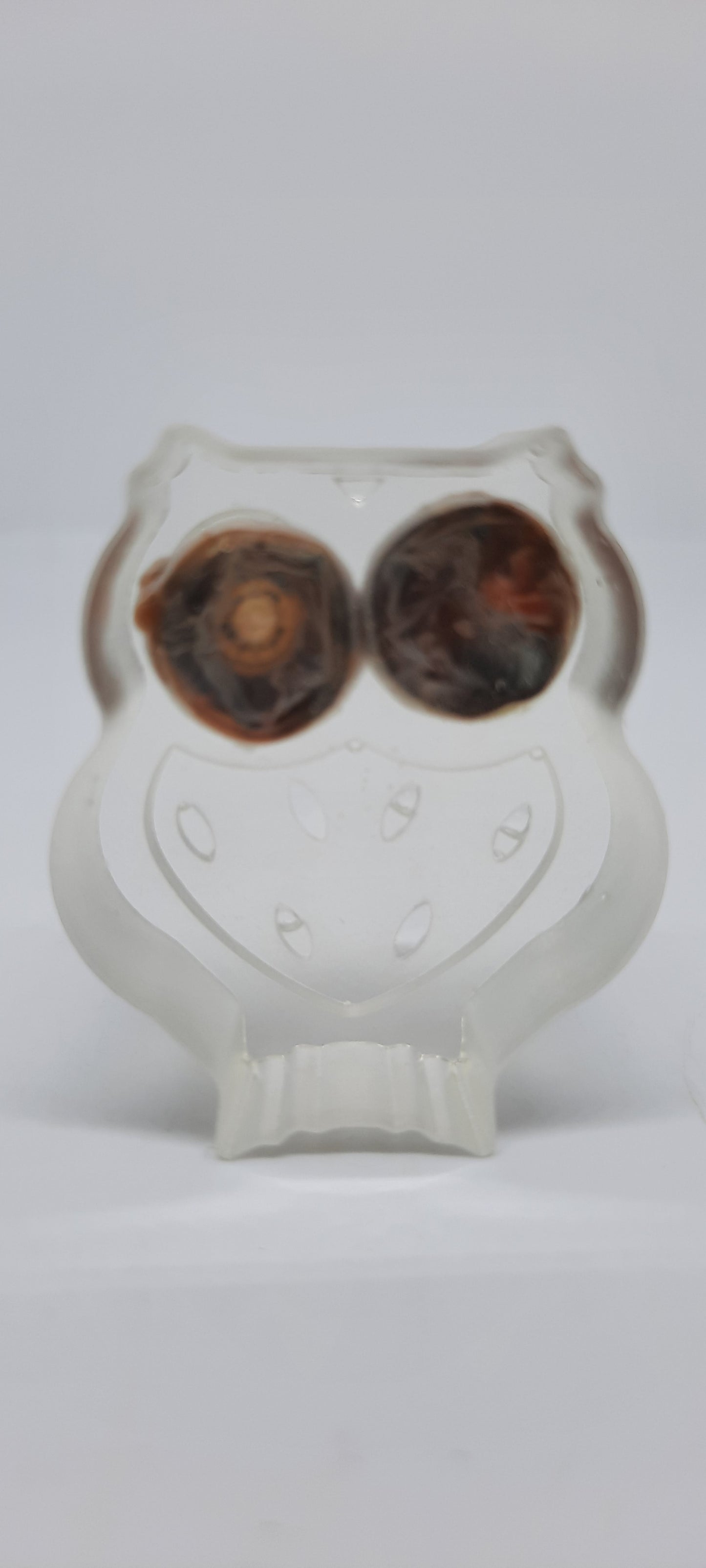 Chick Eyes in an Owl