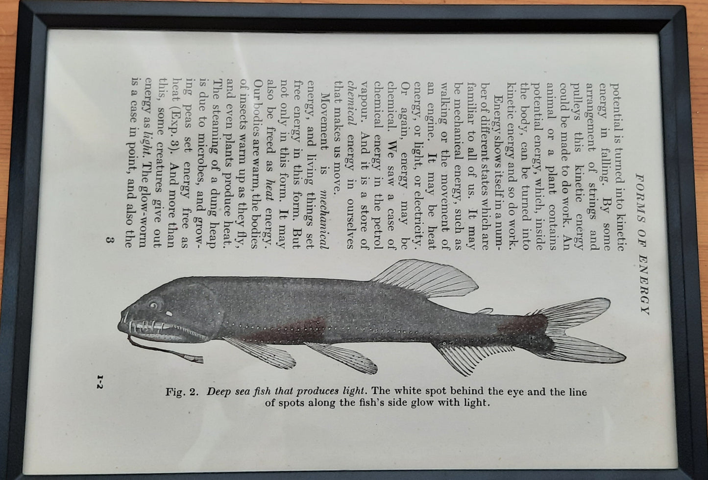Framed Diagrams From Antique Biology book