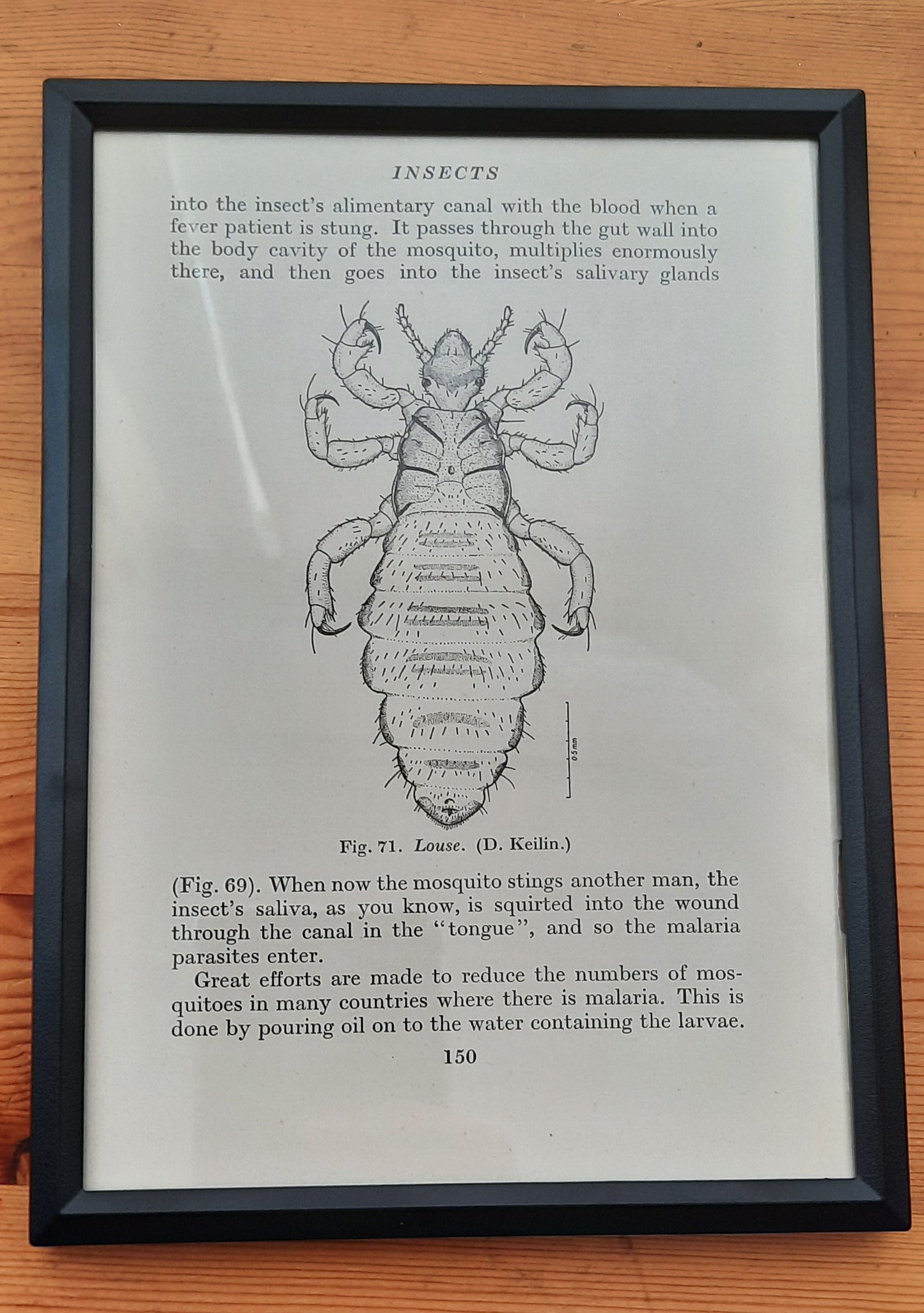 Framed Diagrams From Antique Biology book