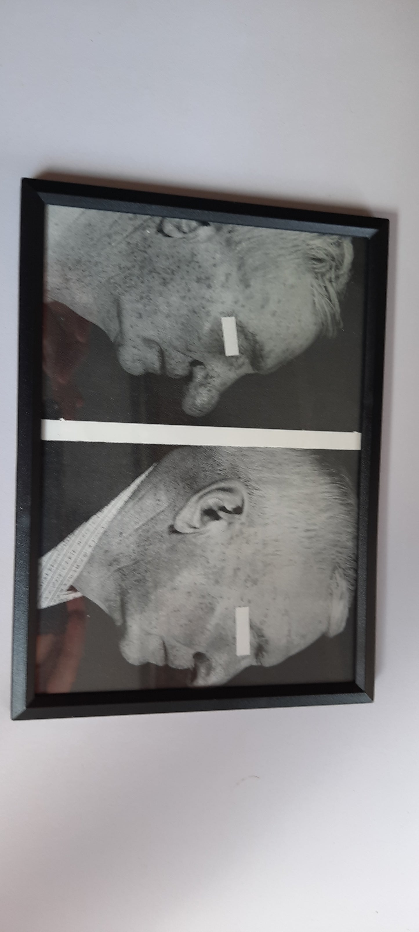 Framed Pages from an antique book on Skin Diseases