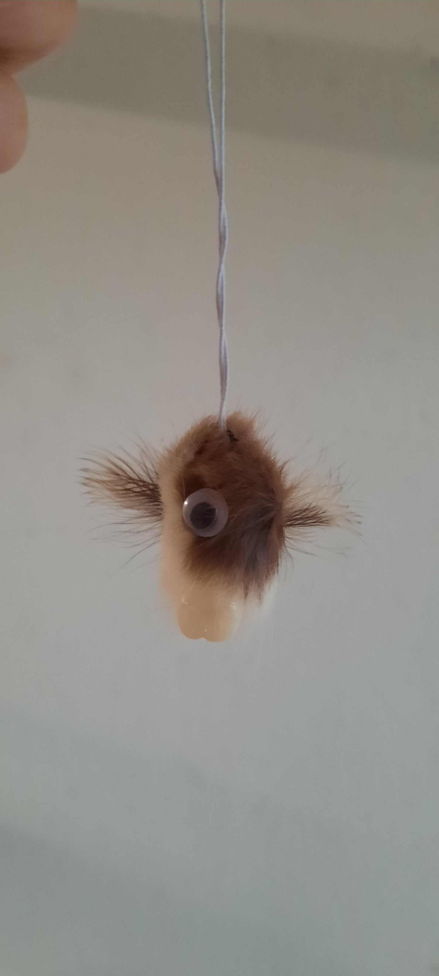 Hairy Dangler