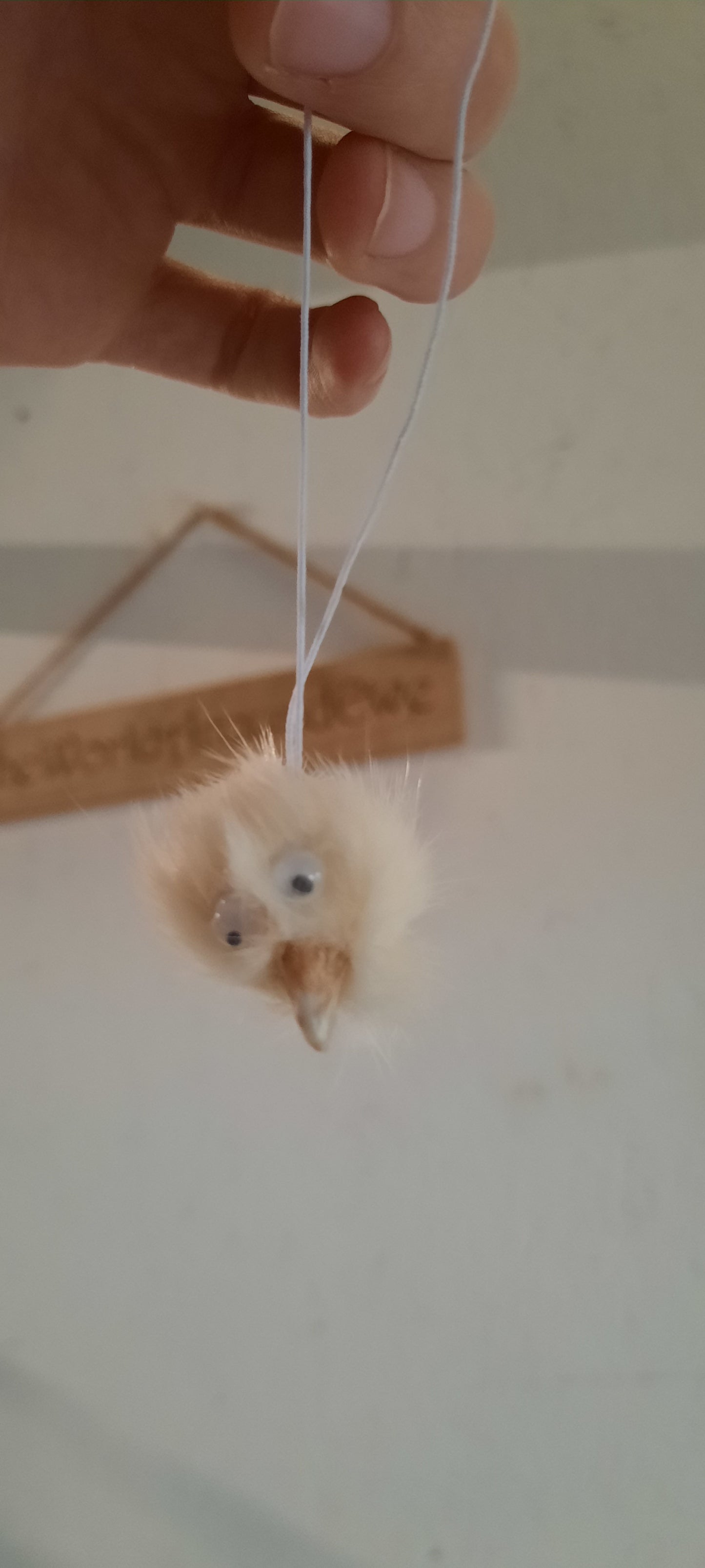 Hairy Dangler