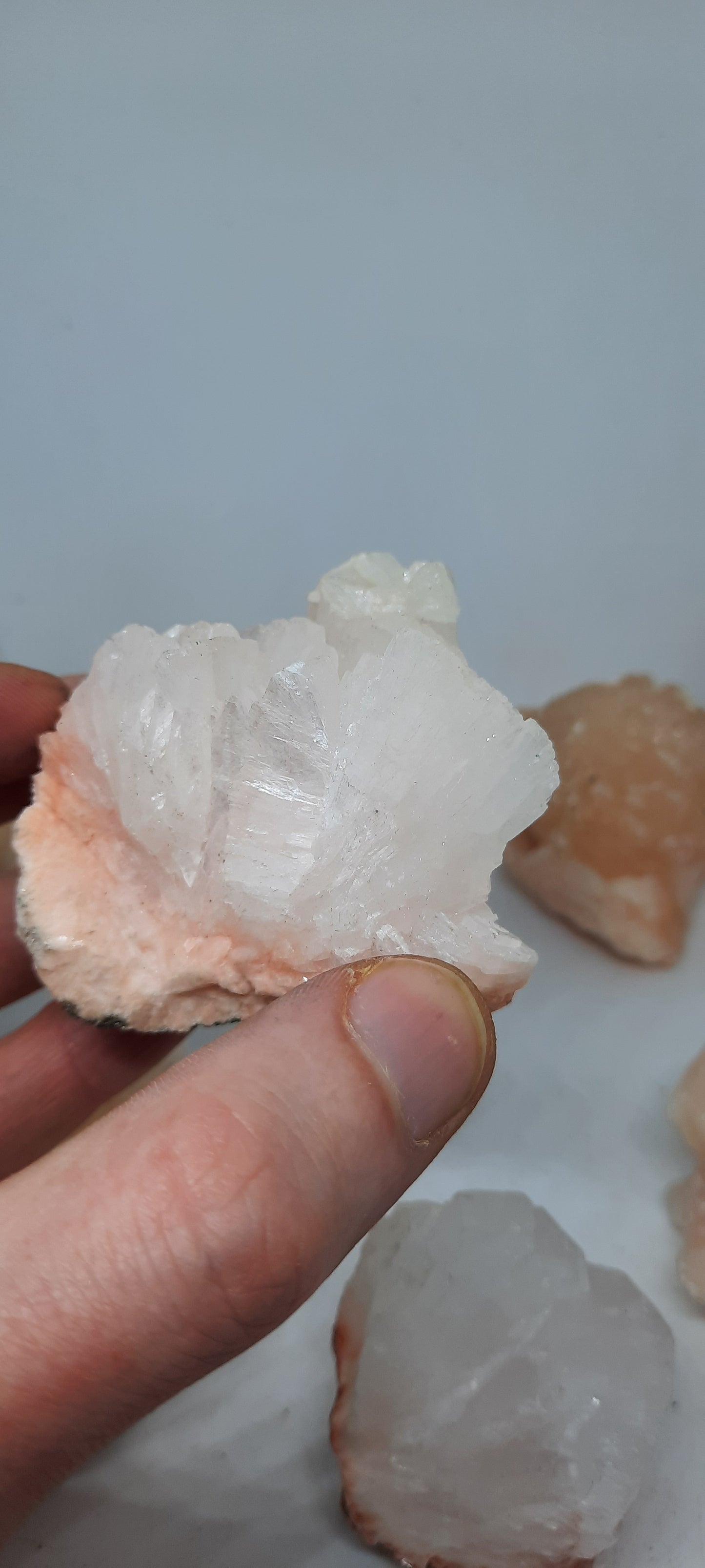 Zeolite