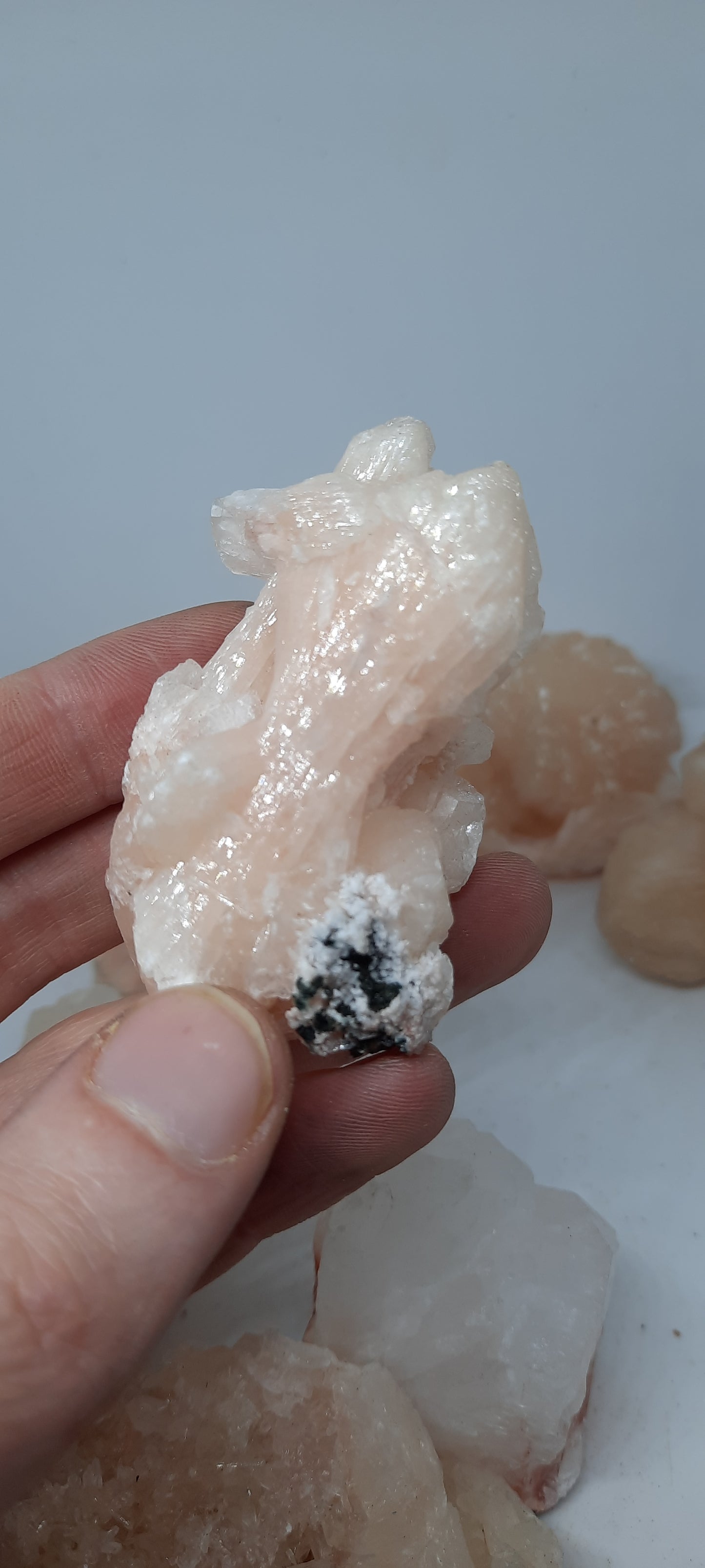 Zeolite