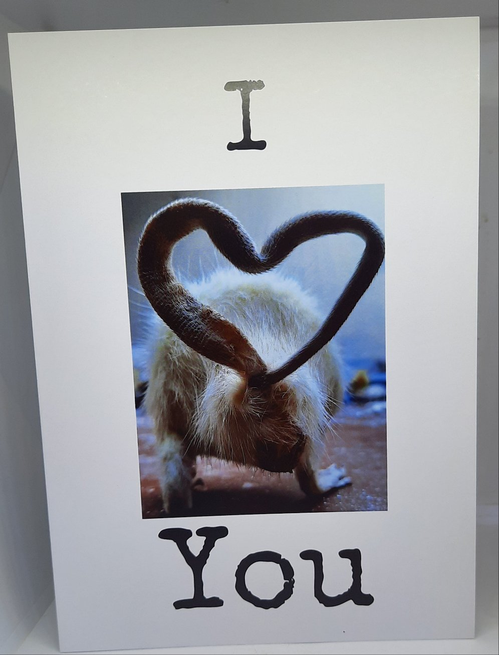 Greetings Cards