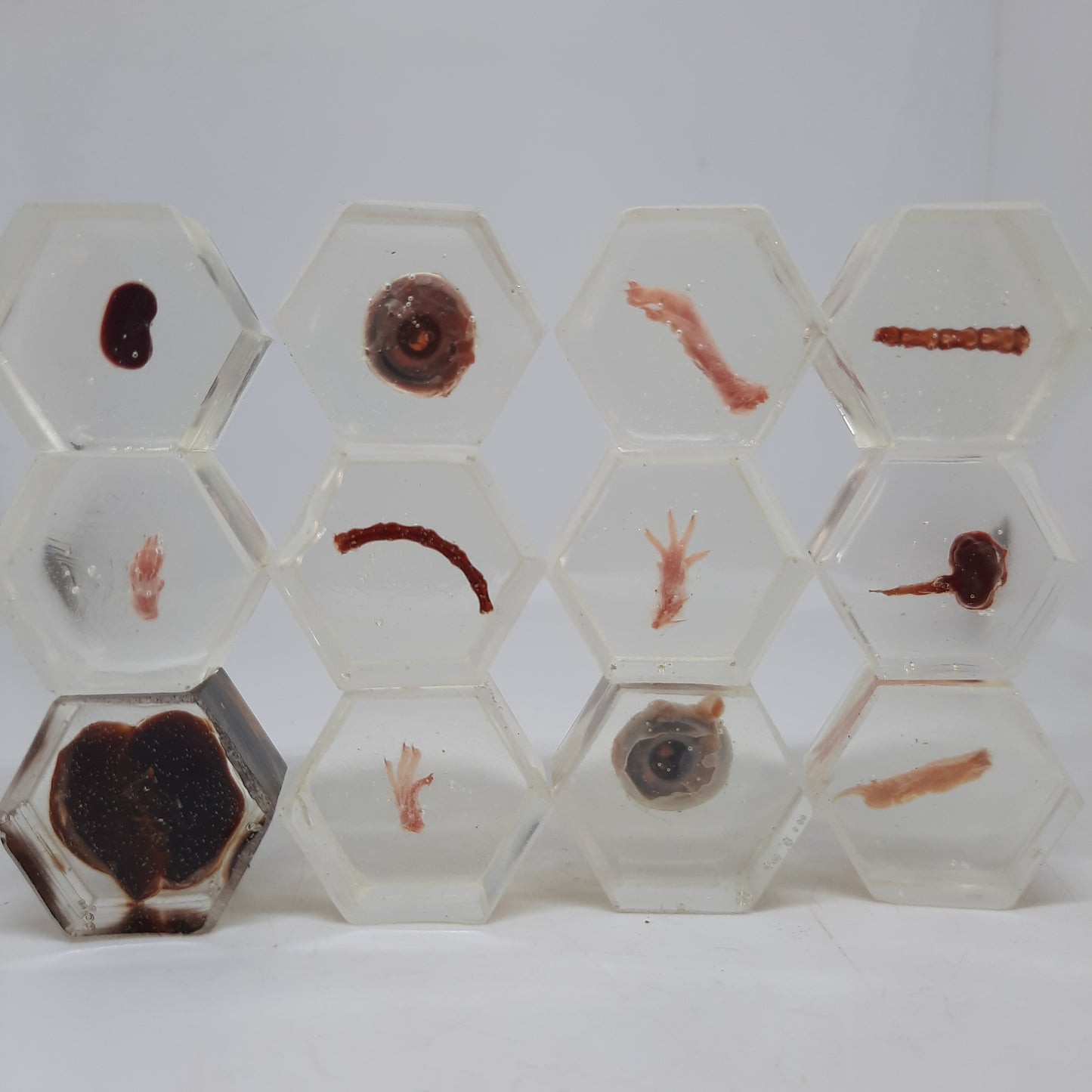 Hex Blocks