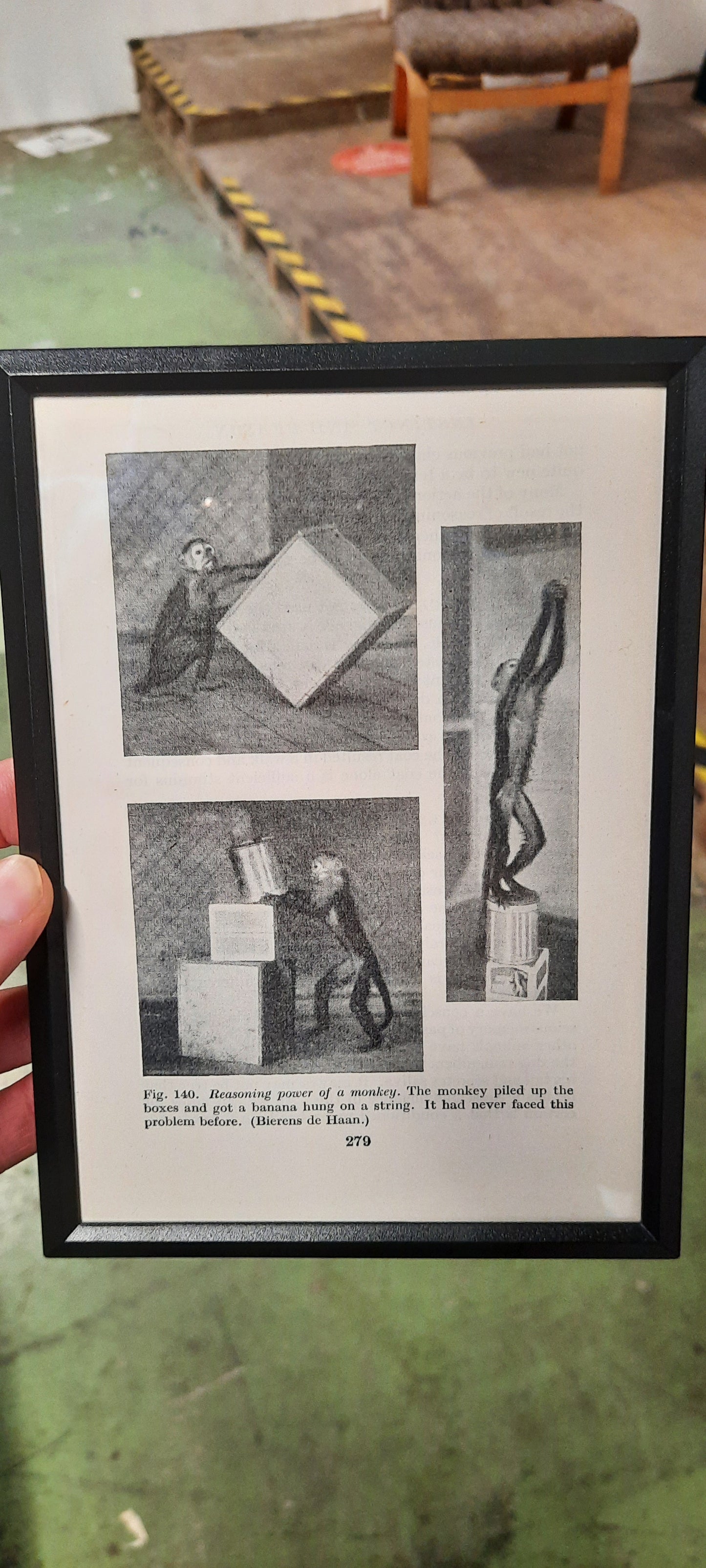 Framed Diagrams From Antique Biology book