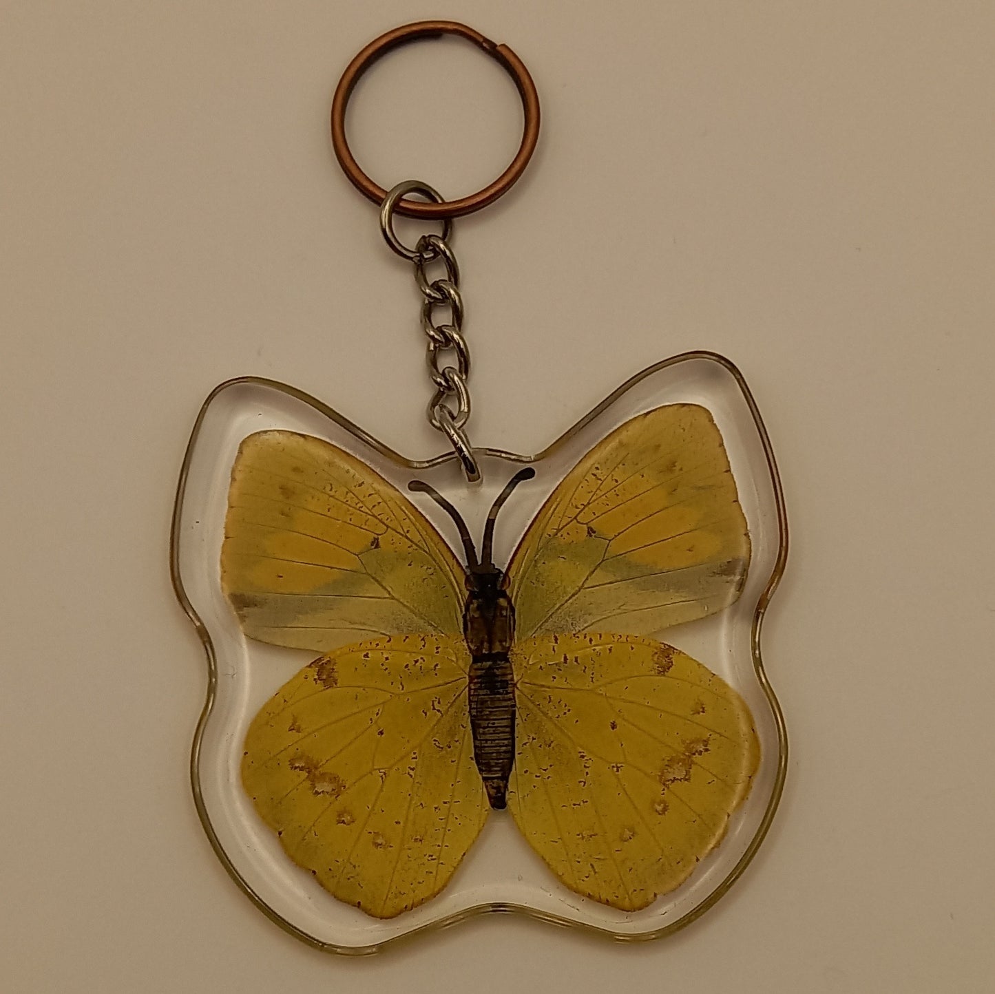 Butterfly Keyring