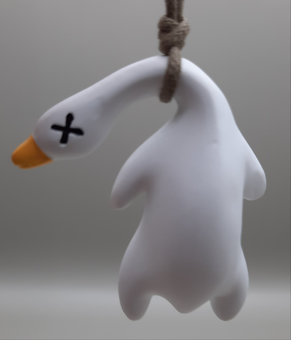 Uncooked Goose