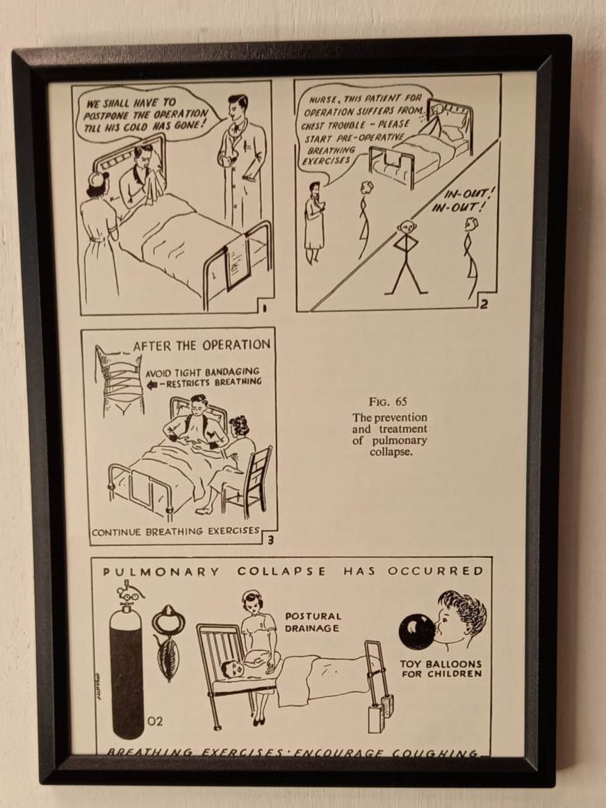 Framed Nursing Diagrams