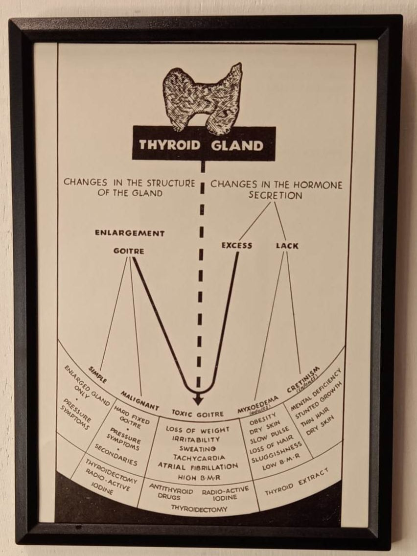 Framed Nursing Diagrams