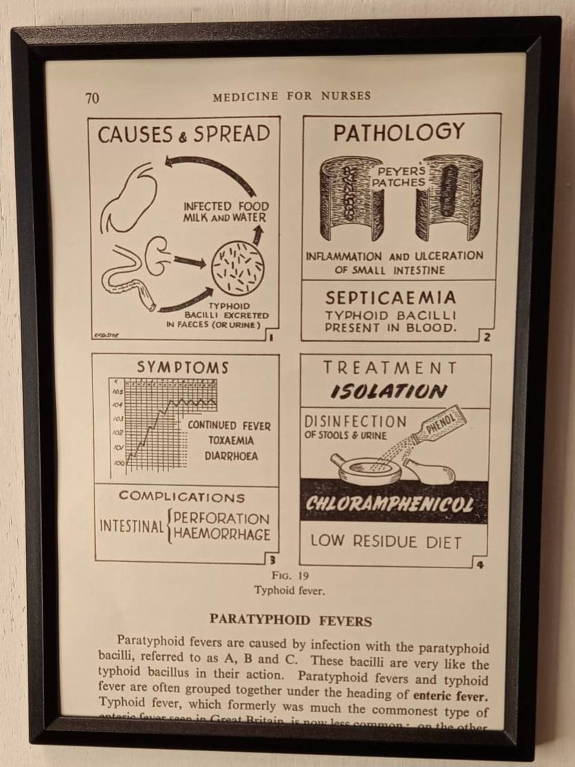 Framed Nursing Diagrams