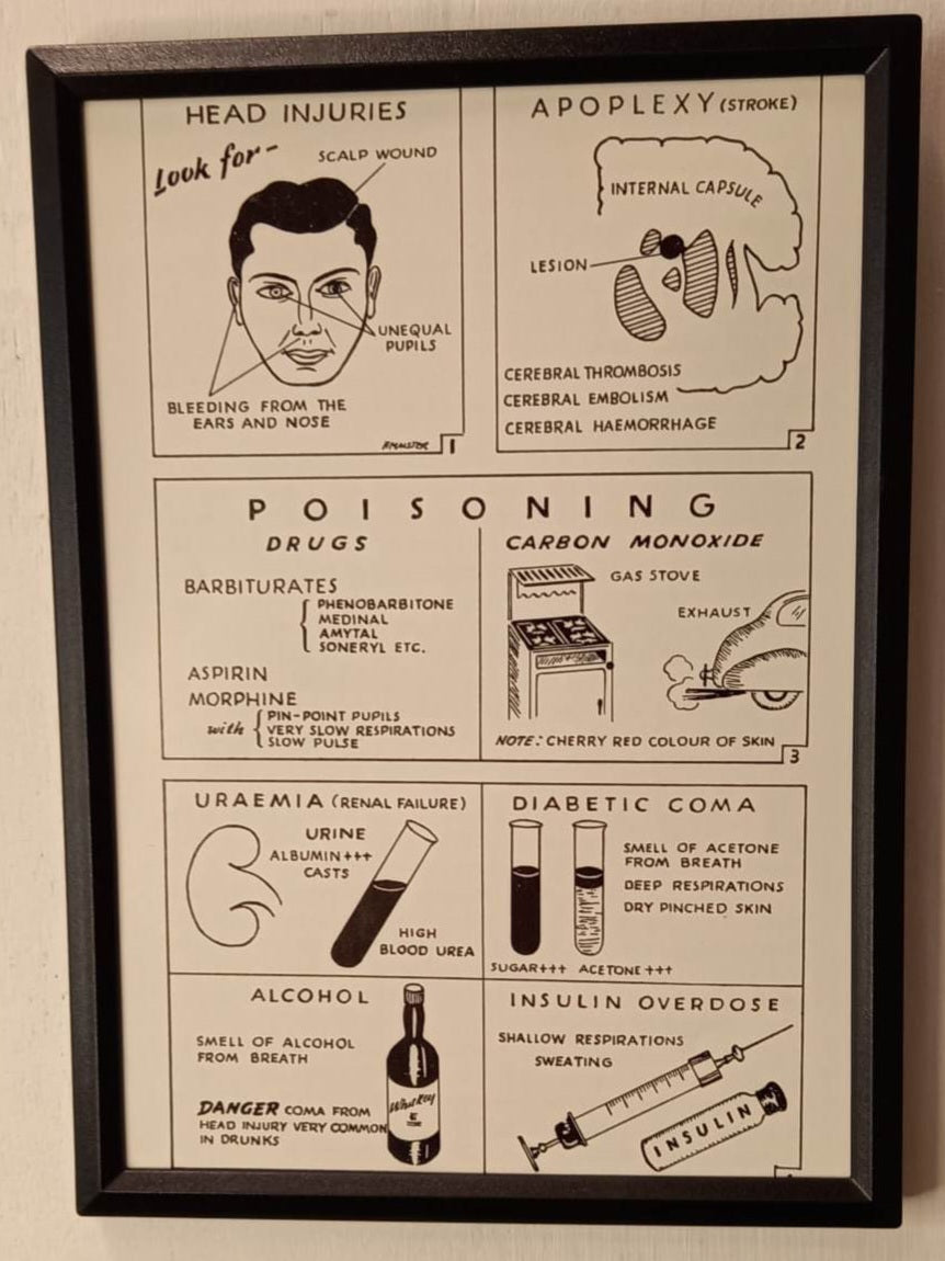 Framed Nursing Diagrams