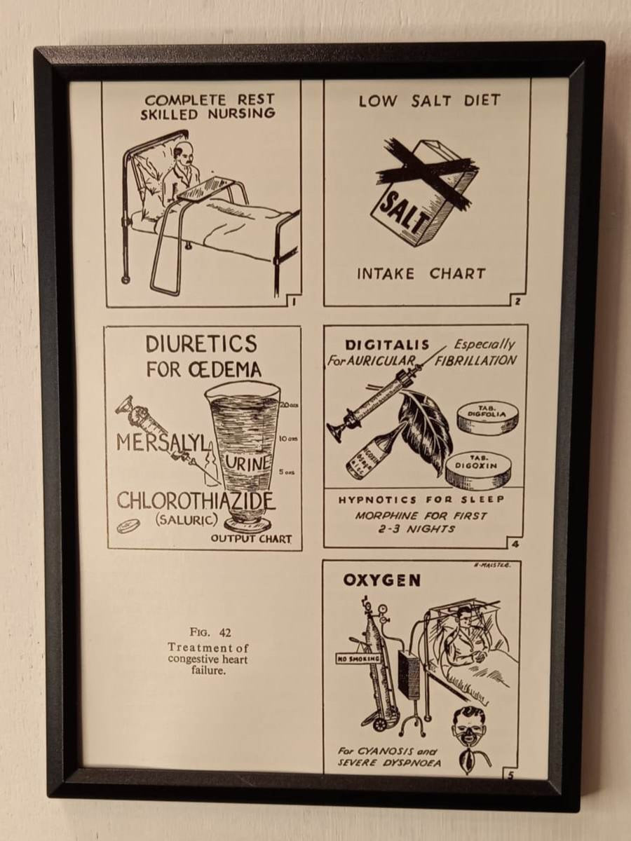 Framed Nursing Diagrams