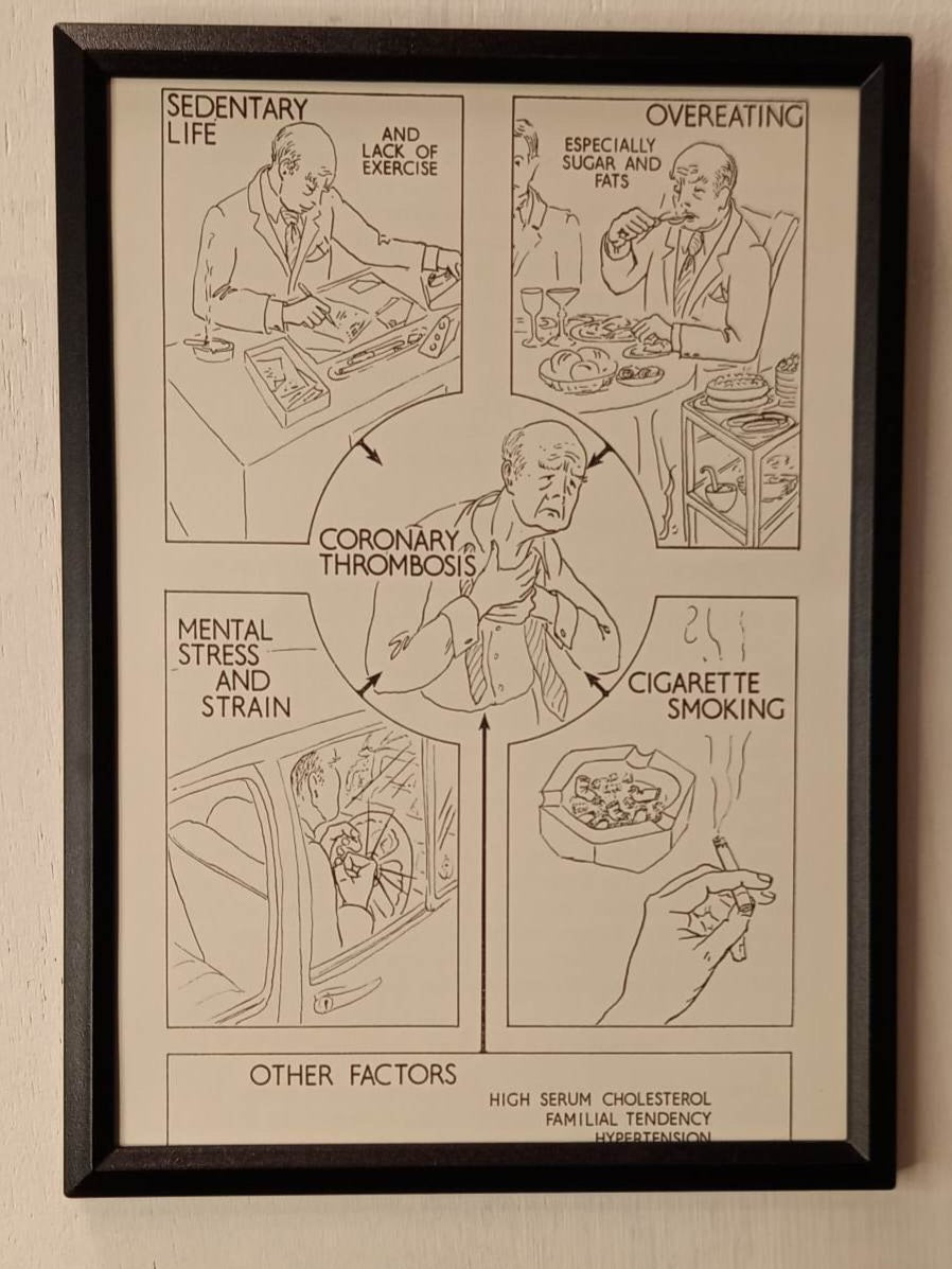Framed Nursing Diagrams