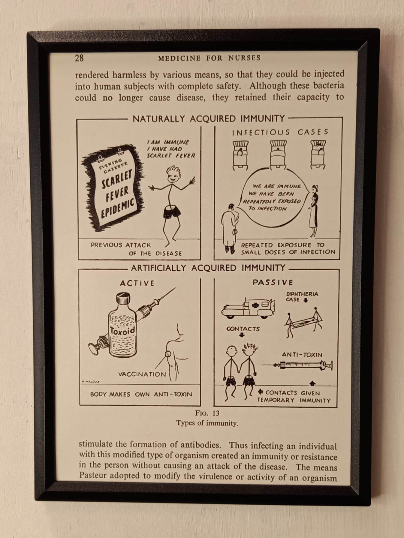 Framed Nursing Diagrams