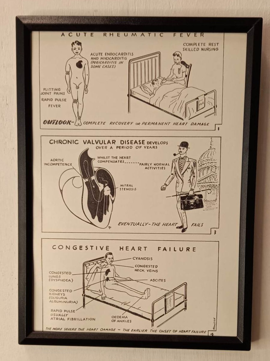 Framed Nursing Diagrams