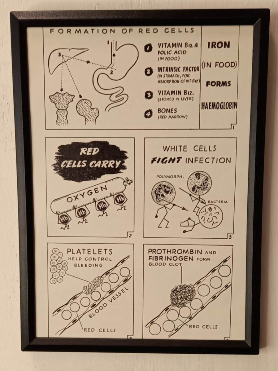 Framed Nursing Diagrams