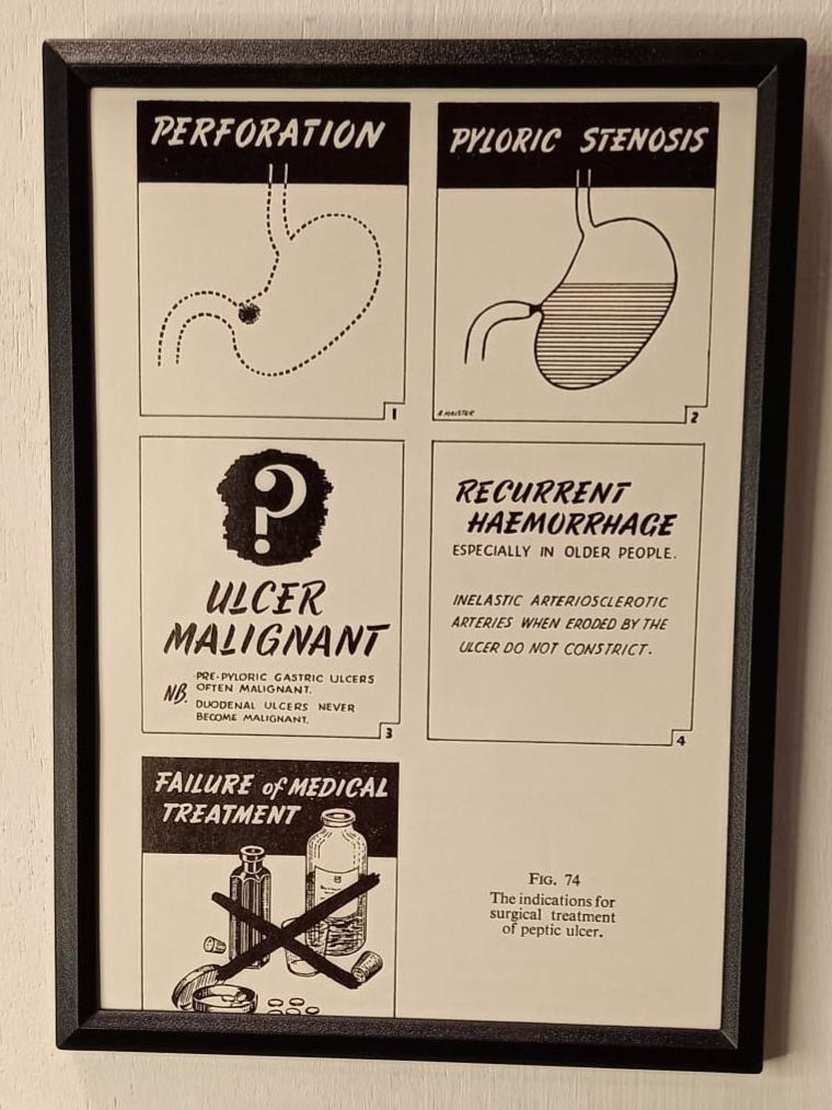 Framed Nursing Diagrams