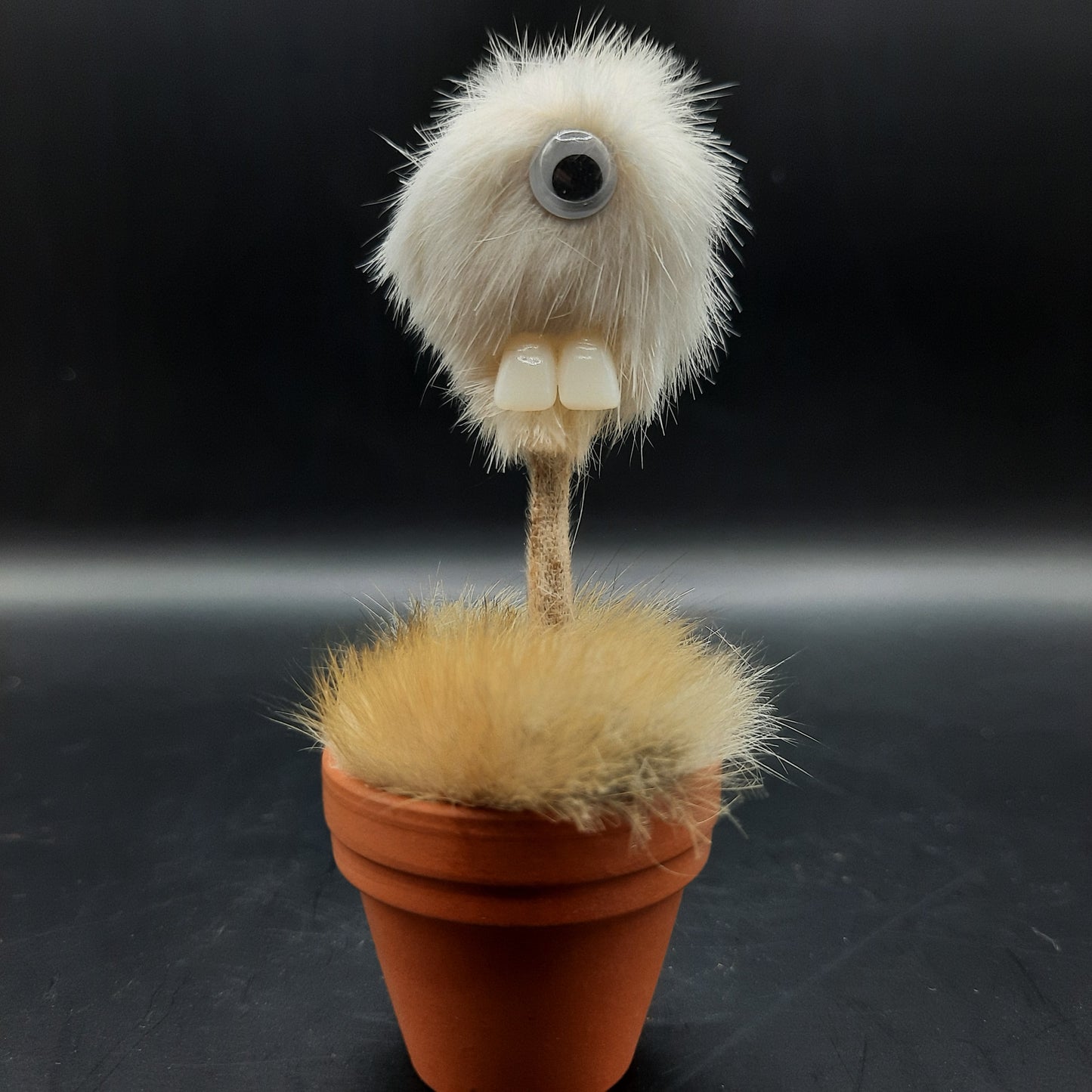 Terrorcotta