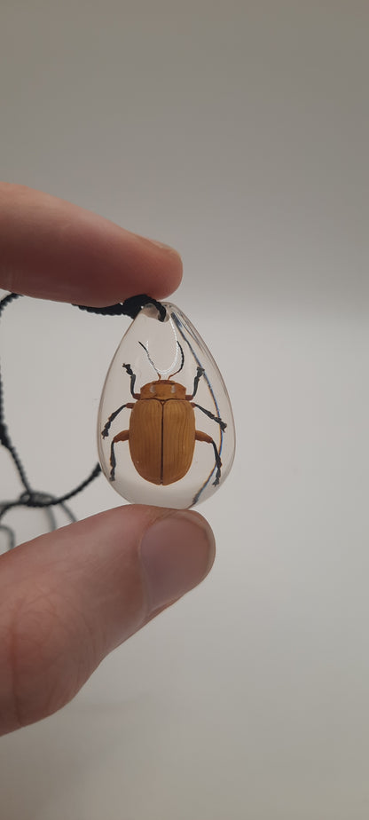 Leaf Beetle Necklace