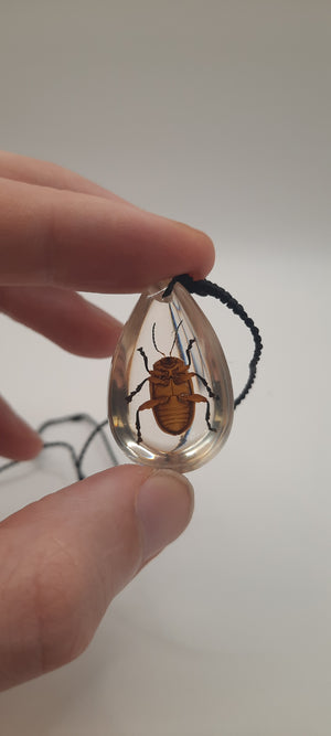Leaf Beetle Necklace