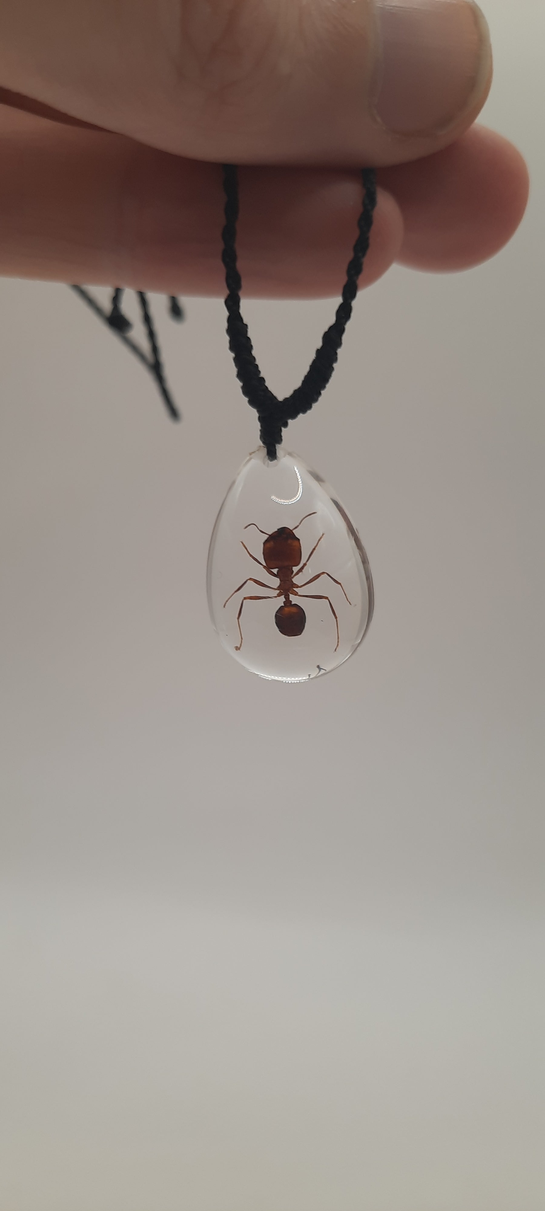 Ant Necklace