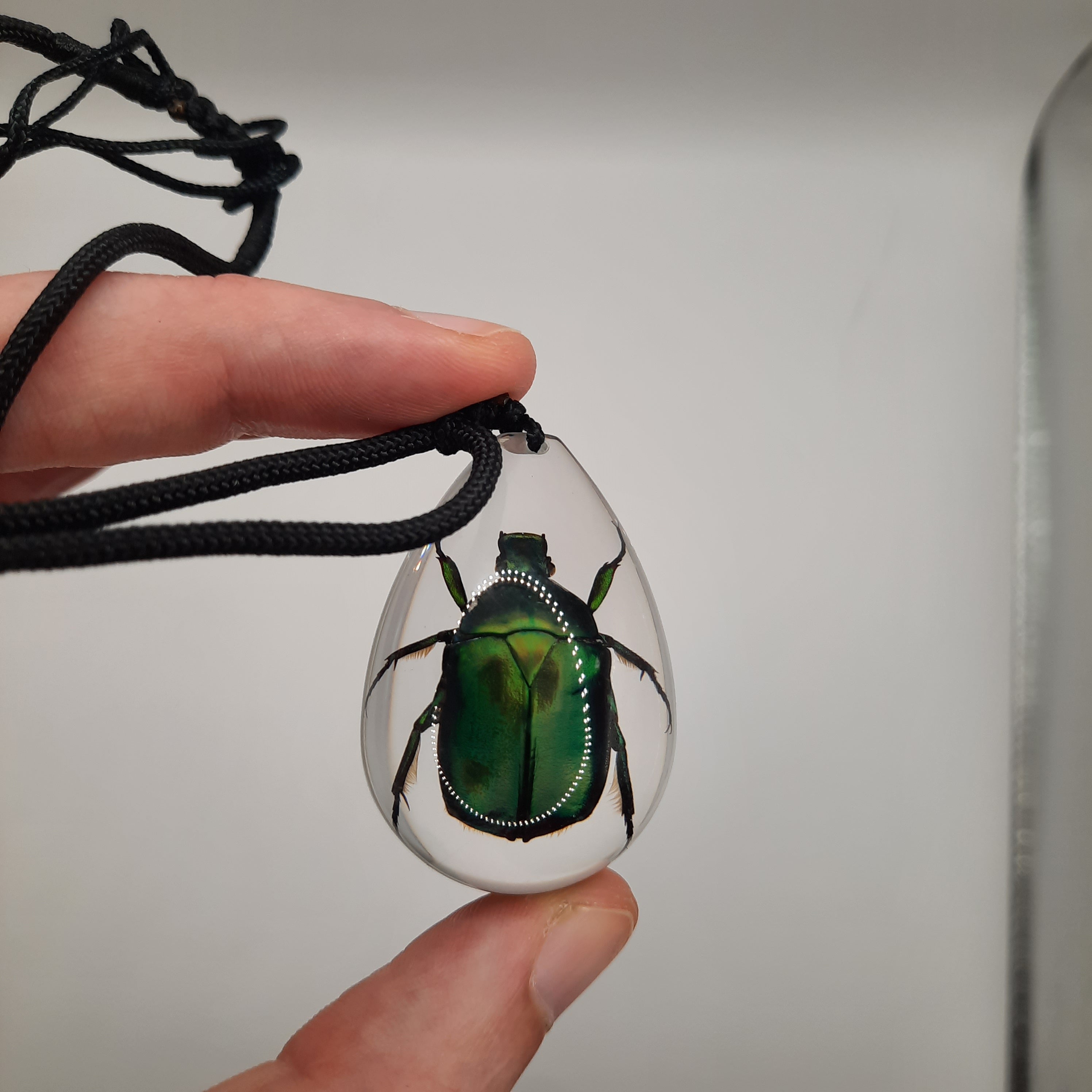 Chafer Beetle Necklace