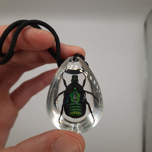 Chafer Beetle Necklace